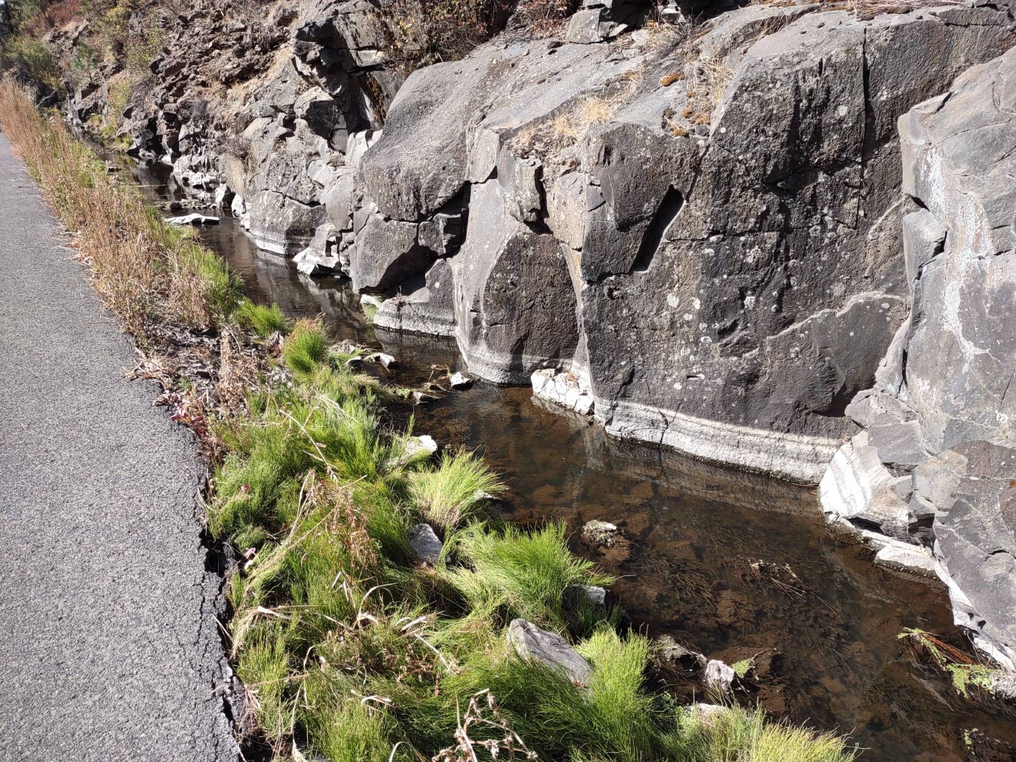 A small creek lying between a paved trail and a hillside of solid rock.