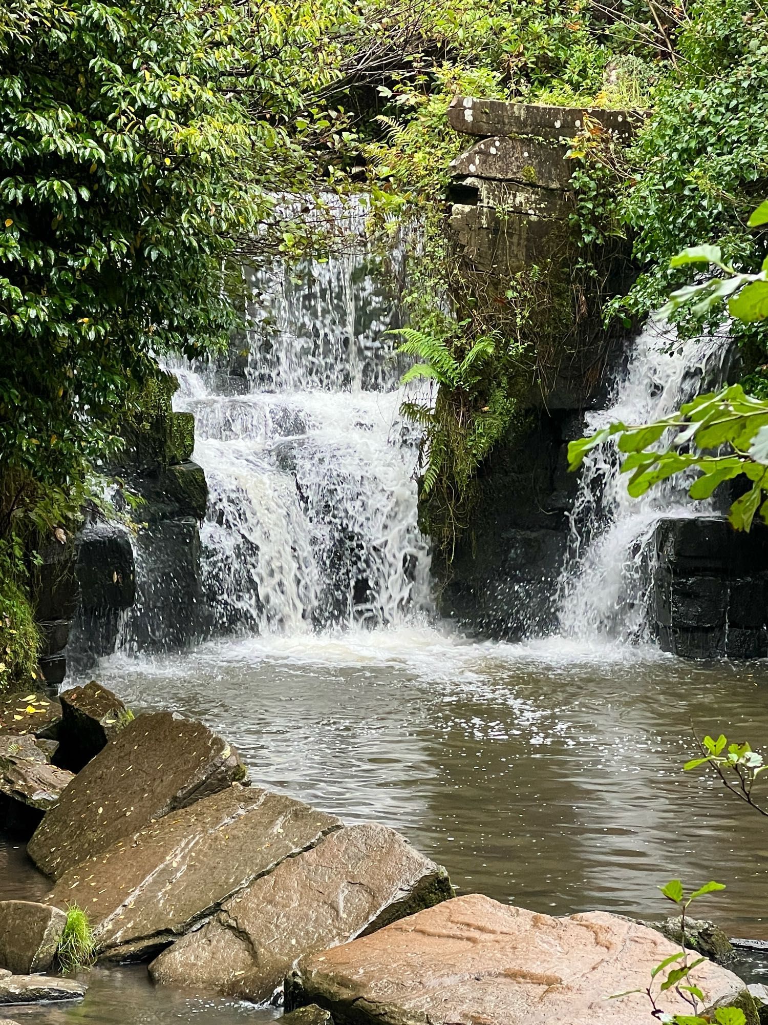 Image of the twin waterfalls at Penllergaer Valley Woods, Swansea surrounded by greenery with wet flat slabs of rock in the foreground.