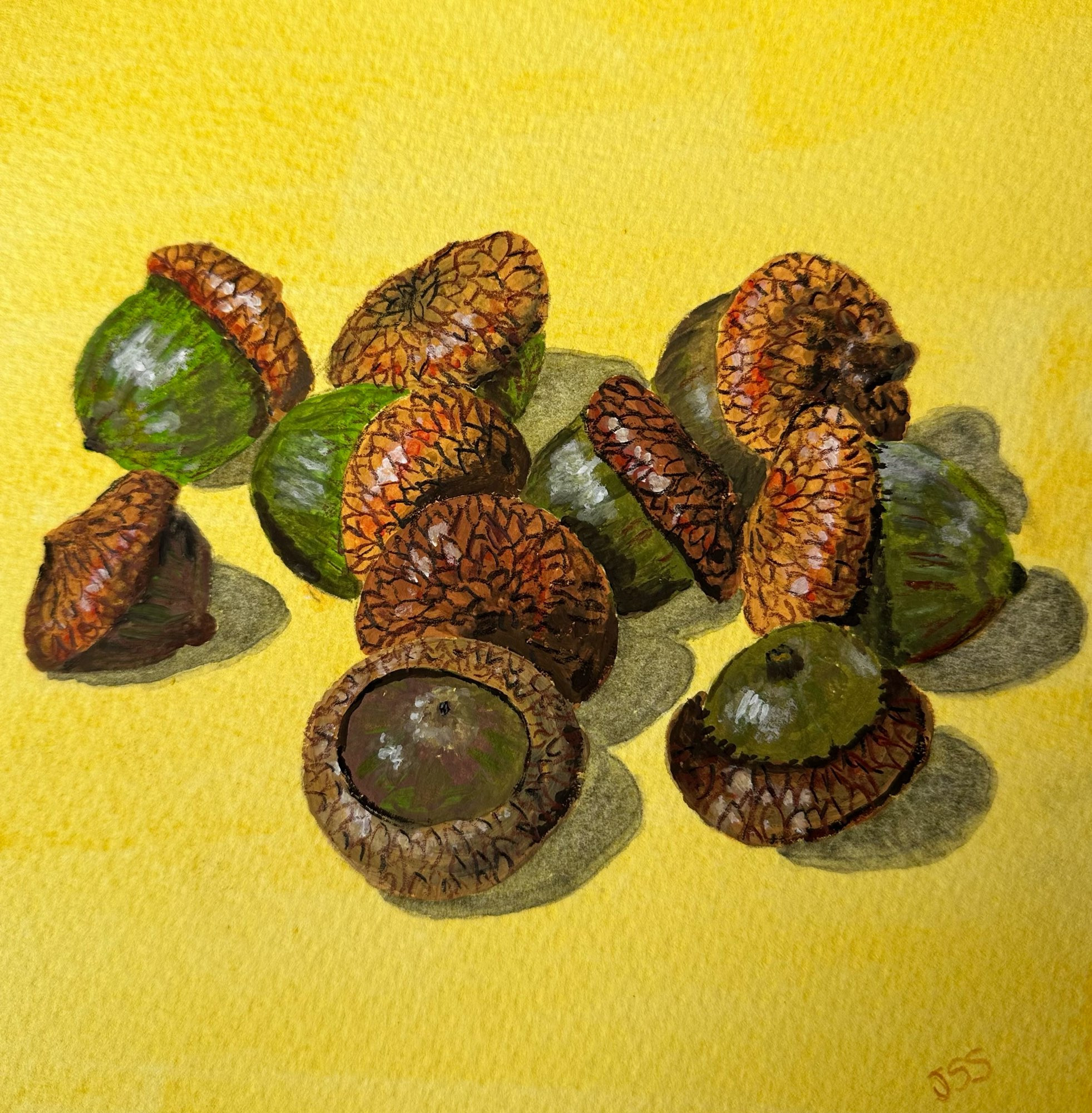 Painting of acorns using gouache and colored pencils.