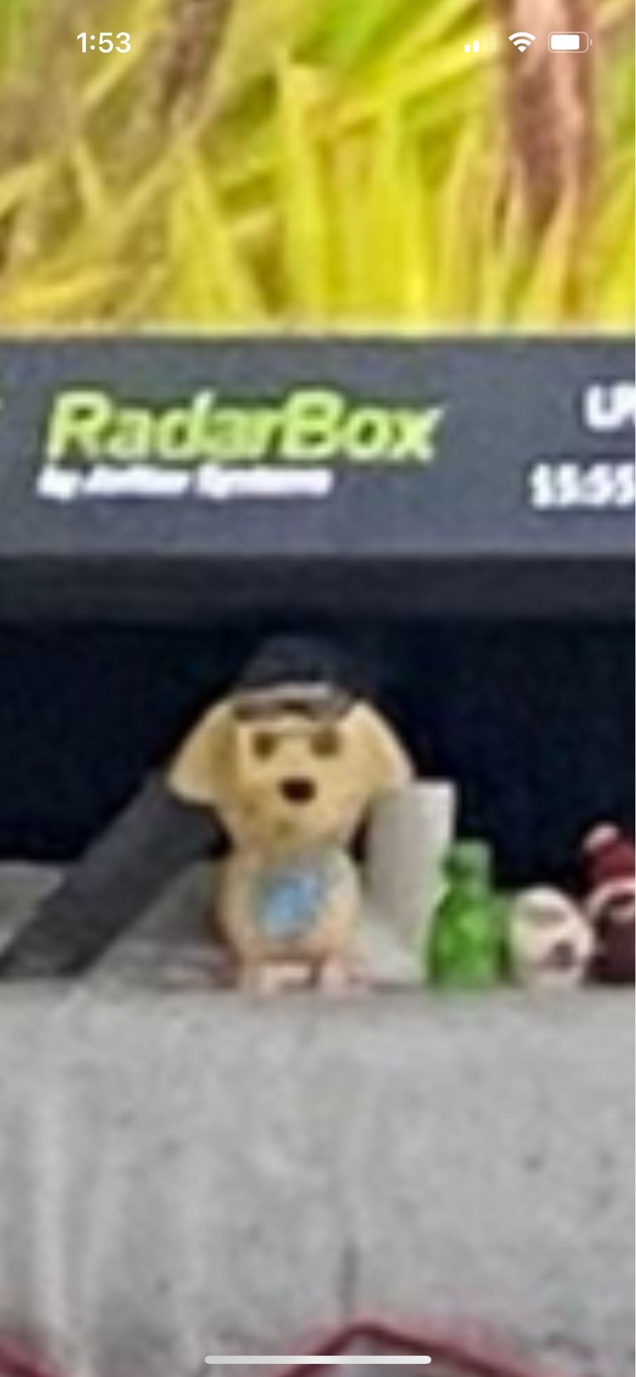 A screenshot from the picture of the cat surrounded by cords and fragile objects. This figurine may be a little dog? The facial expression is the same as mine when I watch a cat in an unapproved cat area: frozen with my my mouth hanging open