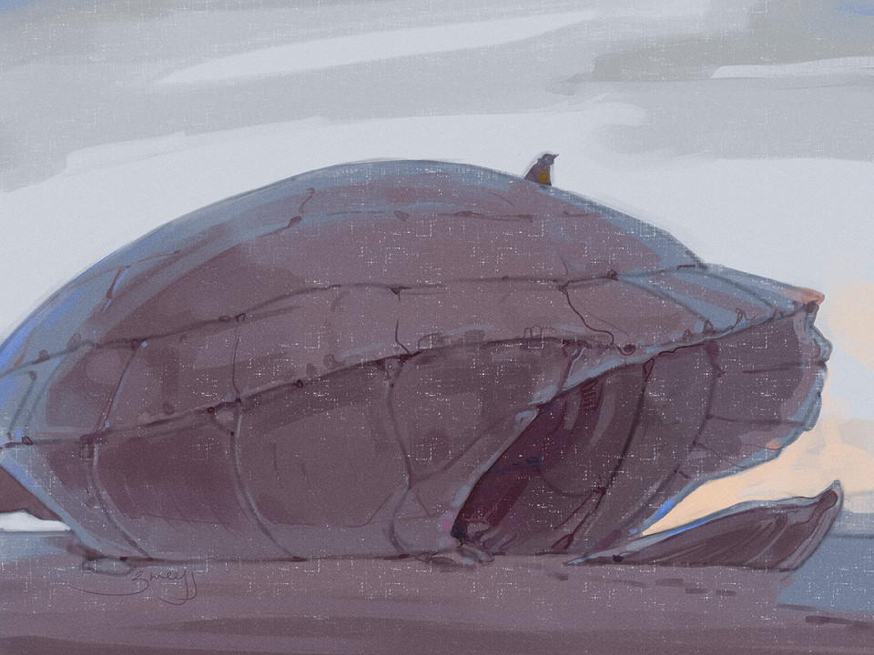 the first illustration in a series of fanart for critical role, c2ep65. it depicts a giant turtle shell, bleached by the sun and partially submerged in the gray sand, with a bleak gray and pink sunrise in the background. on top of the shell, there is a tiny cloaked figure.