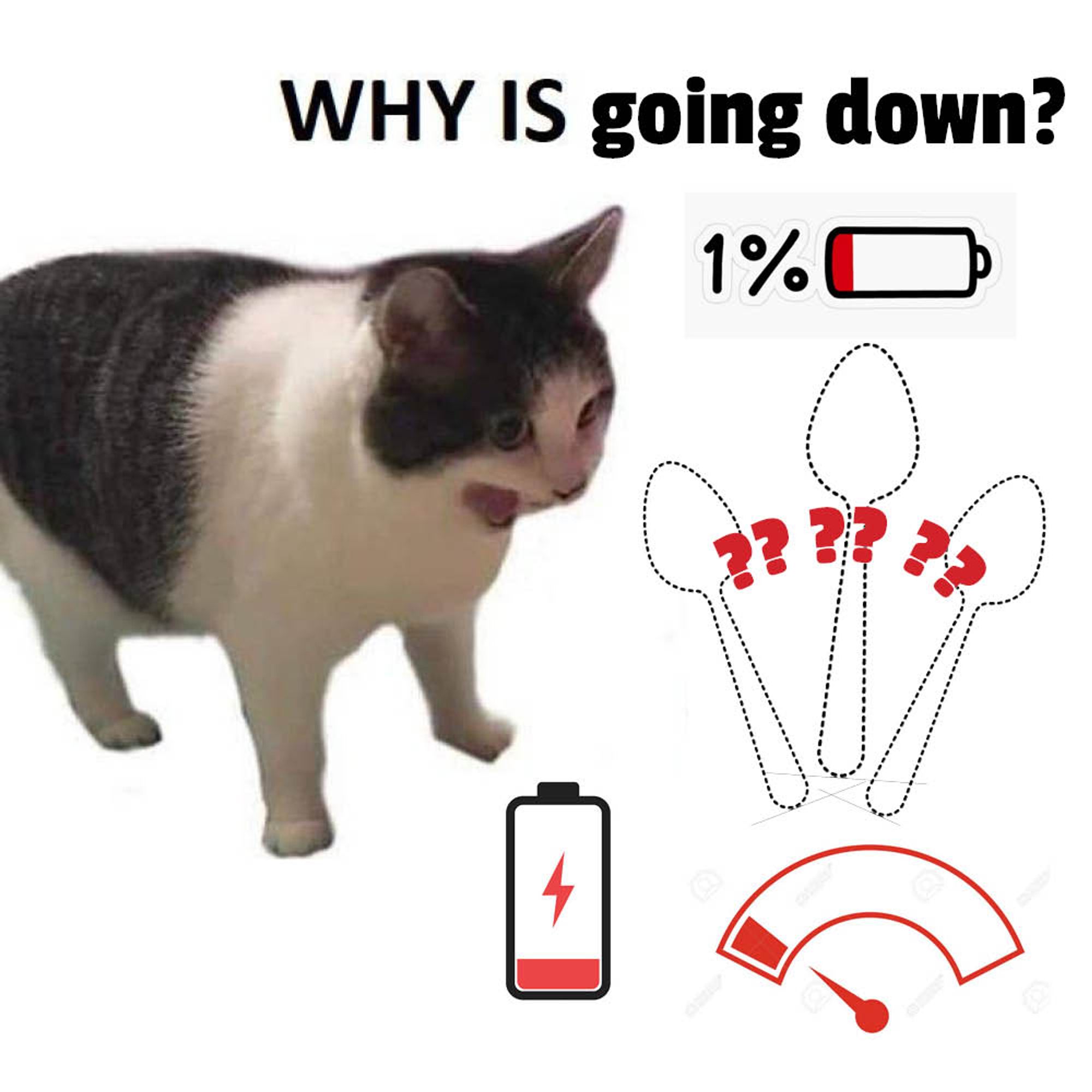 a meme format of a exasperated tabby and white cat yowling at a series of low-energy indicators and missing spoons. the text over it reads "WHY IS IT GOING DOWN?"