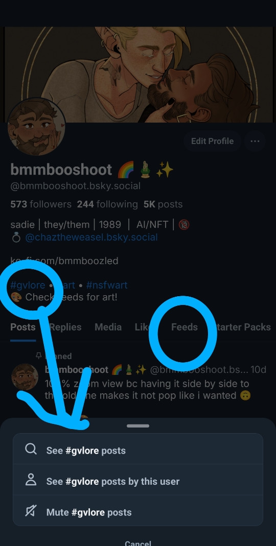 a screenshot of my bio on bluesky showing where you can browse a hashtag from my profile. also showing a circle to highlight my feeds