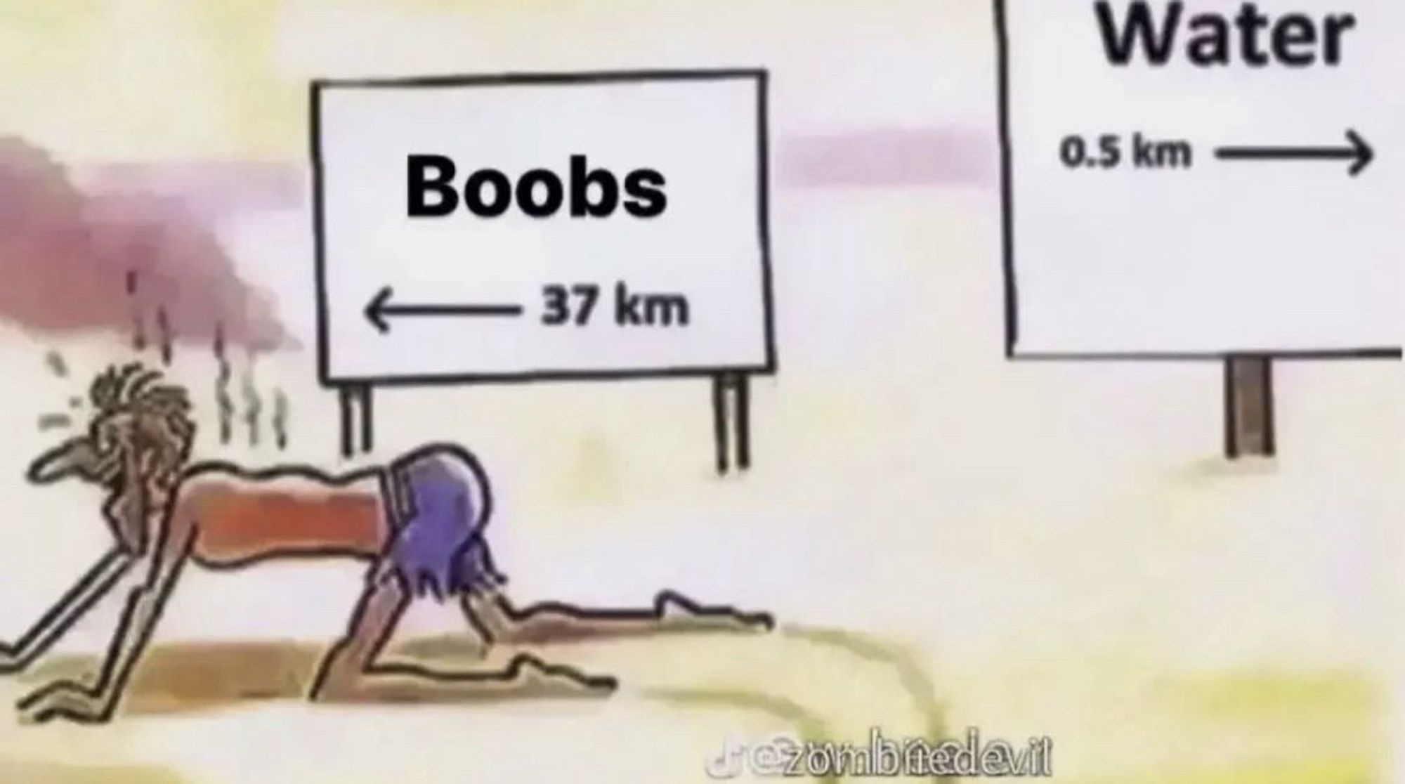 Boobs sign pointing to the left, Water sign pointing to the right. Boobs are 37 km away, water is 0.5 km away. Dehydrated man is happily crawling to the left