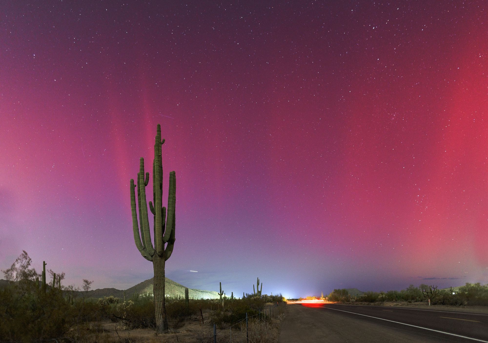 Oct 10 2024 Aurora in Mesa Arizona. Pink/red pillars and a saguaro cactus.