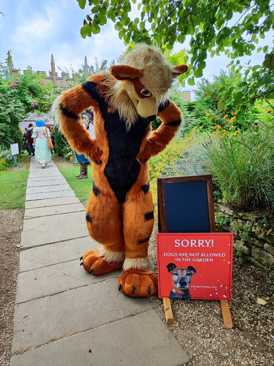 Arcanine fursuiter looking dejectedly at a sign saying "sorry, dogs are not allowed in the garden" 