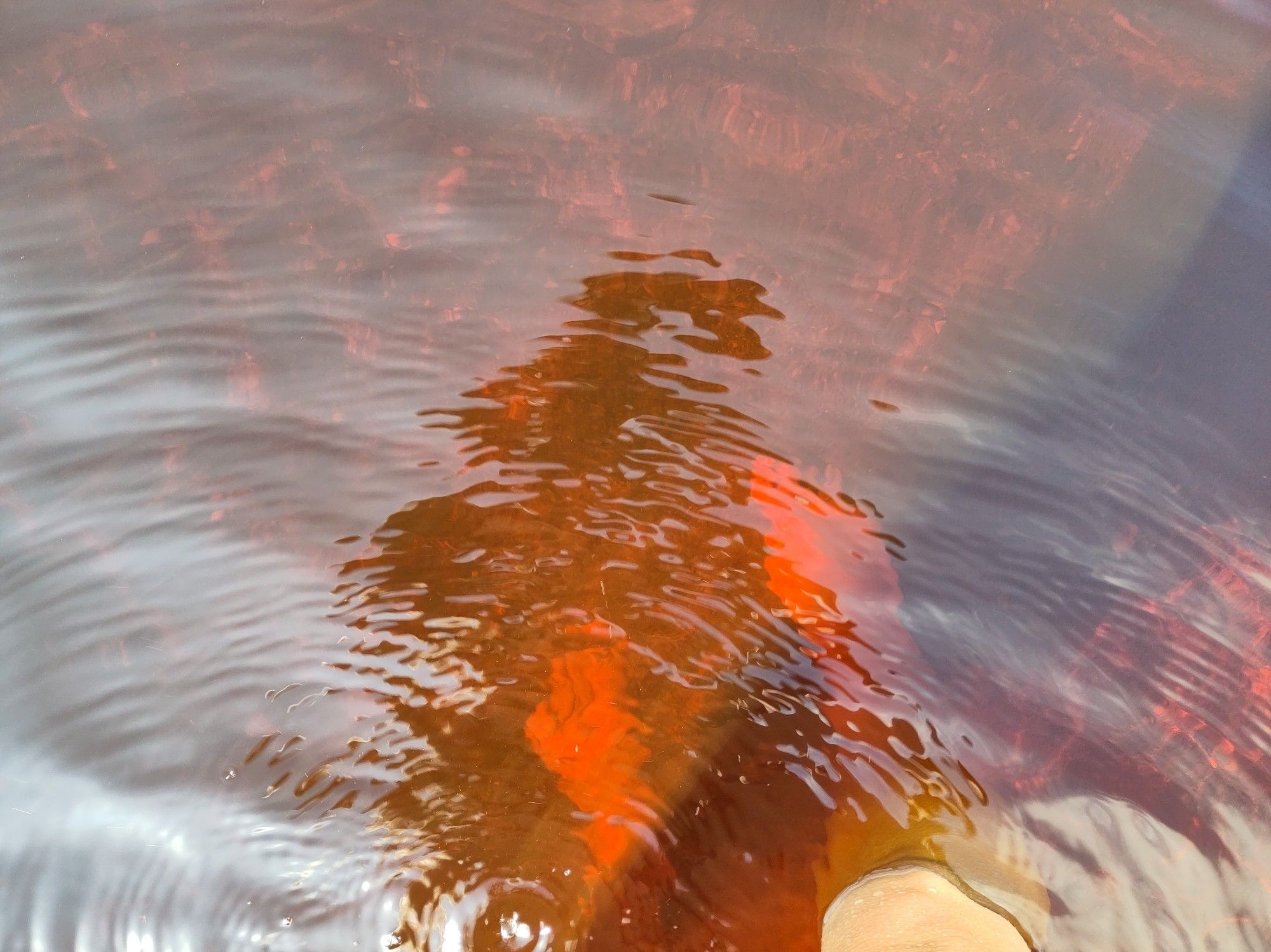 Feet in the orange-brown water of a tributary of the River Tyne in the north-east of England