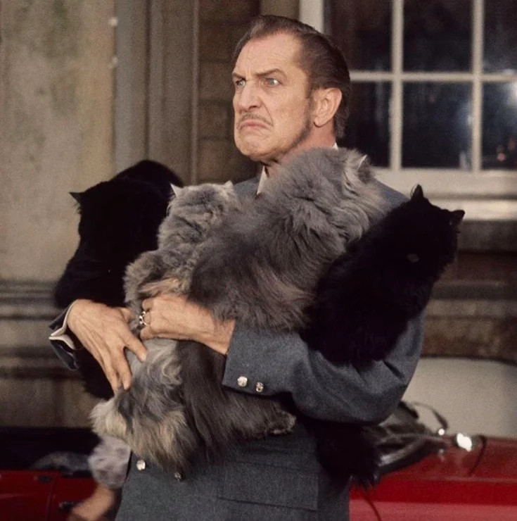 Vincent Price in a gray suit looking insulted, holding four ver large and fluffy cats. The two at the ends are black and the two in the middle are gray. They are all facing him. Strong, "do not talk to me or my sons again" vibe.