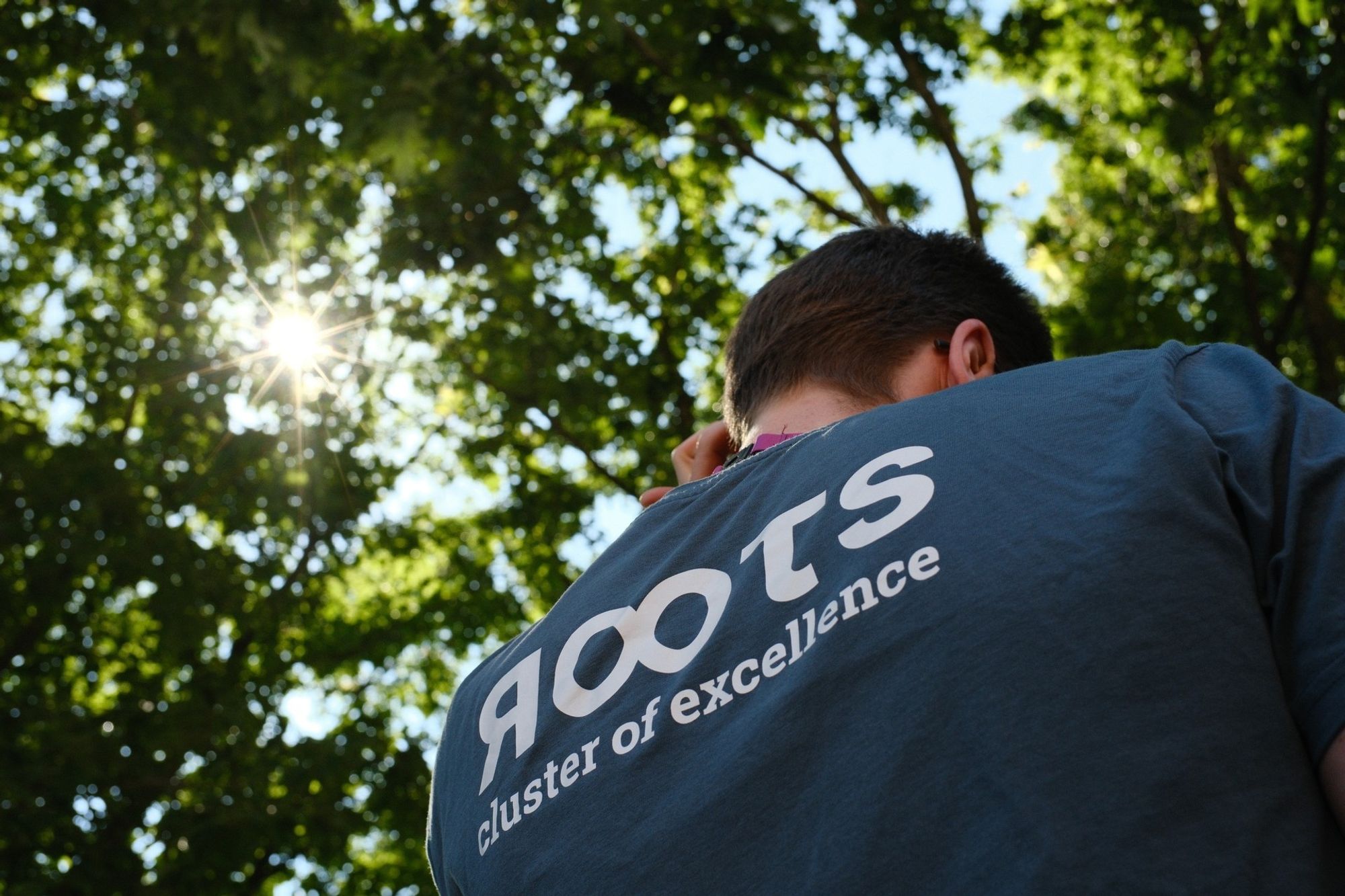 Eine Person trägt ein T-Shirt mit dem Schriftzug Roots auf dem Rücken. Darüber ein Blätterdach, durch das die Sonne scheint