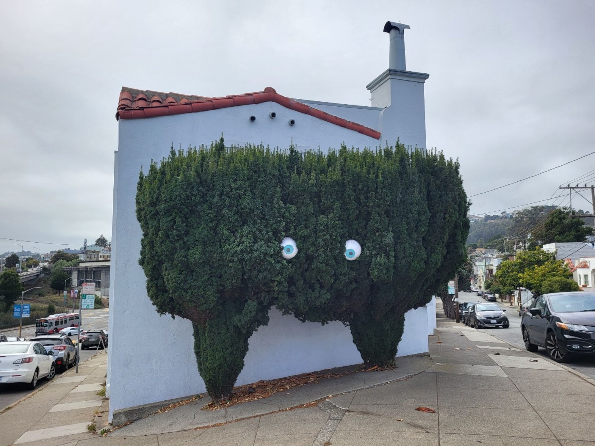 Two wide tree-bushes that have grown together at the top, standing in front of a house.  The trunks of the bushes look like legs, and the grown-together tops make a wide body.  Someone has put a pair of large eyeballs in the center of the body so that the whole thing looks a bit like a monster.