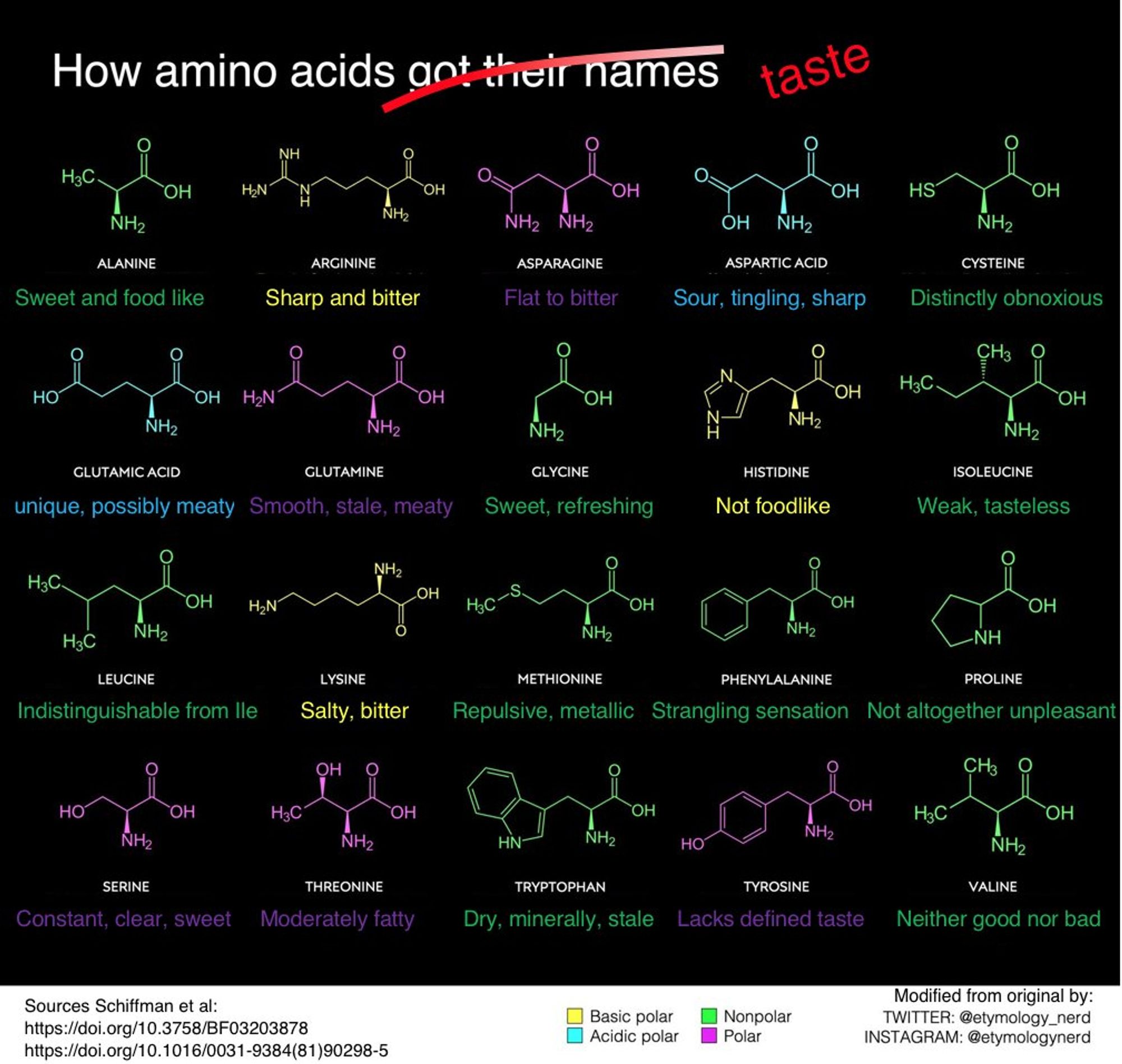 Chart showing the chemical structures of the common amino acids as well as brief notes of their tastes. The latter are taken from:
https://doi.org/10.3758/BF03203878
https://doi.org/10.1016/0031-9384(81)90298-5

The original chart is modified from one made by @etymology_nerd on "How amino acids got their names" available e.g. here:
https://x.com/etymology_nerd/status/1310560462329831425