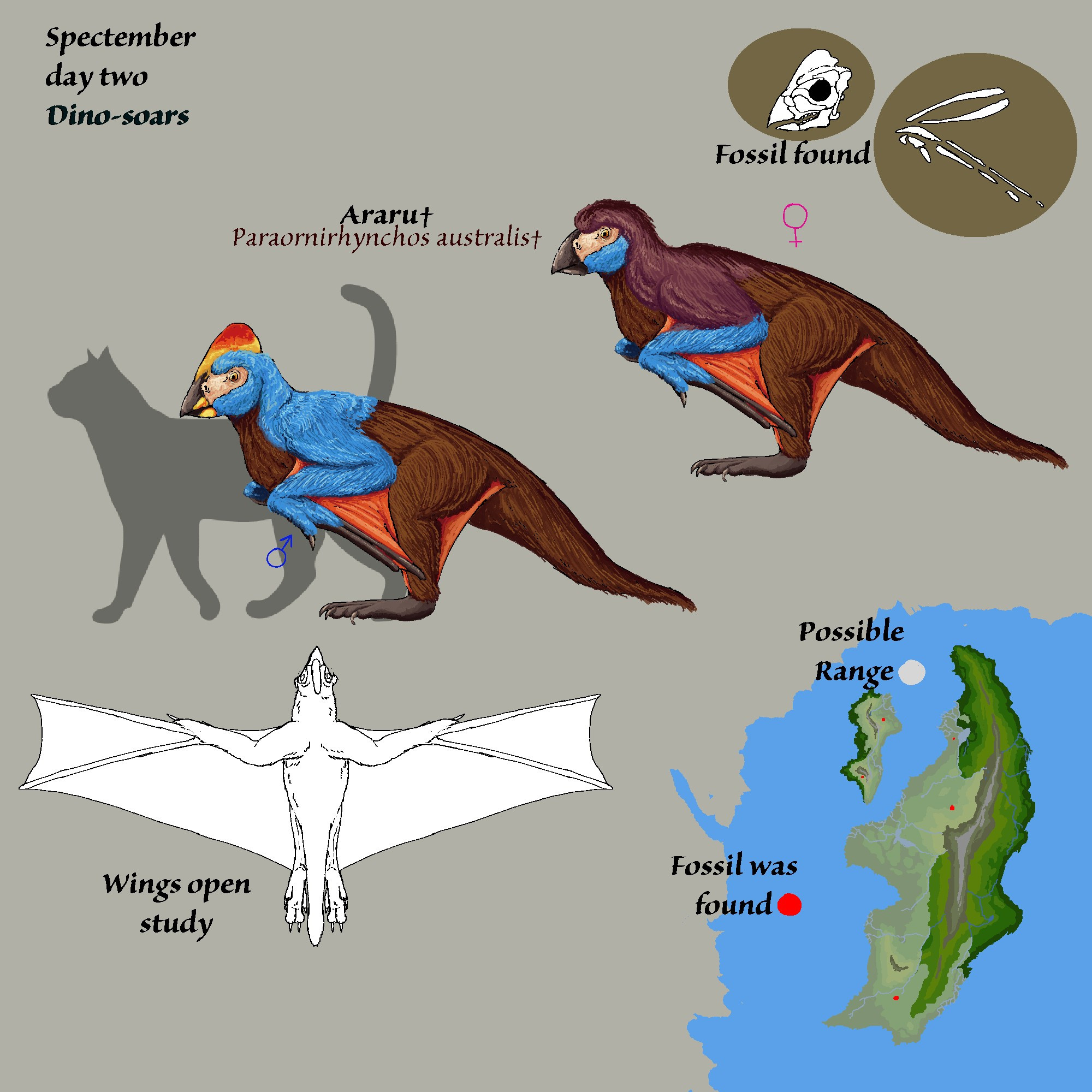 A creature sheet, of a flying ornithischian endemic to a island named Angra, the fossil dates from late cretaceous