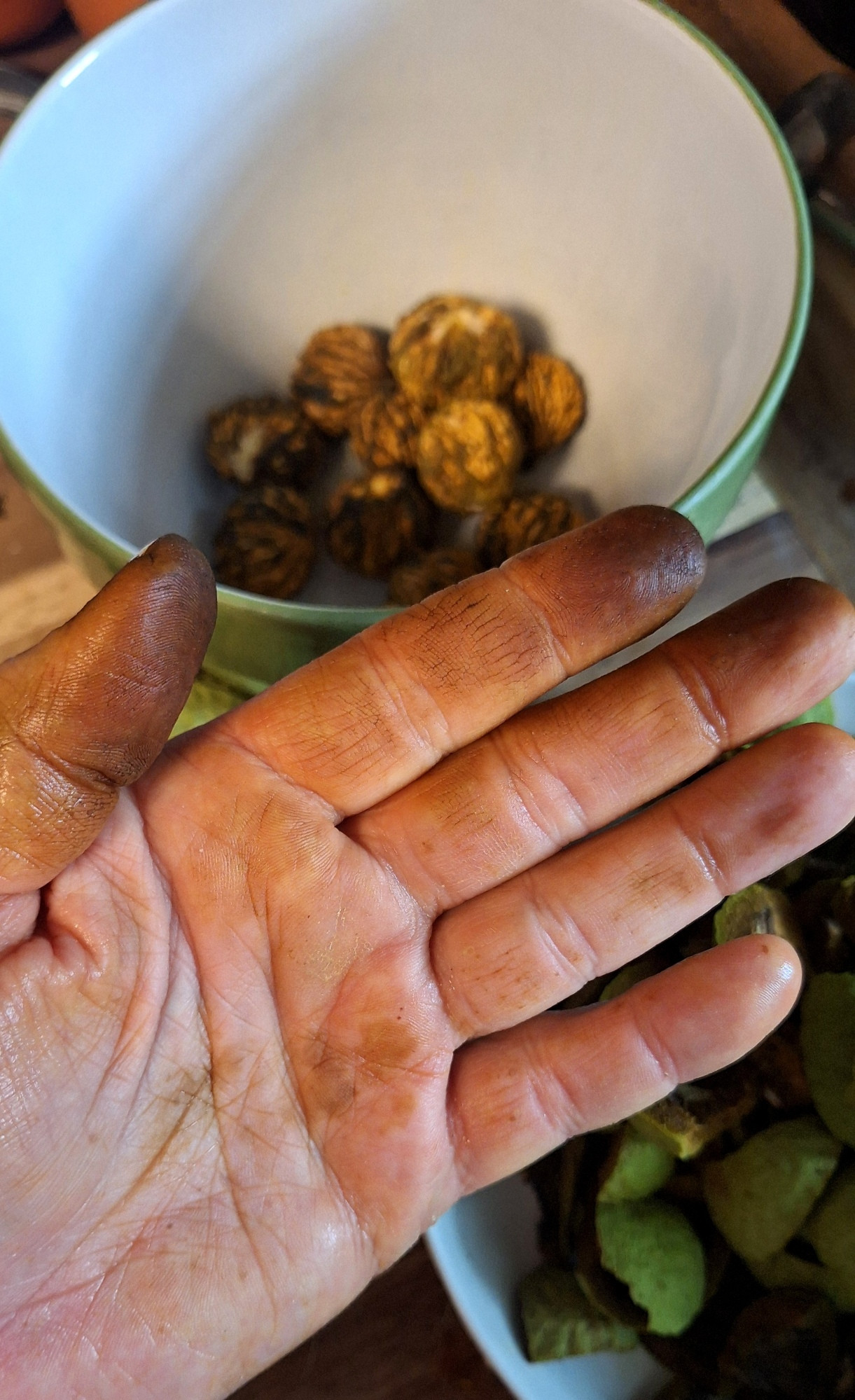 Hands stained with walnut dye.