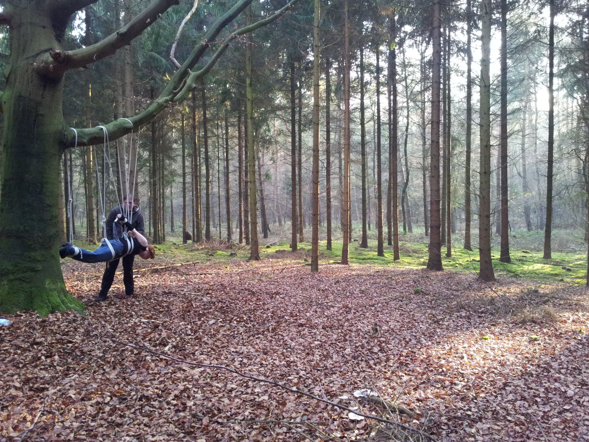 Man sieht im Wald zwei Personen. Eine davon ist in Seilen am Ast eines Baumes aufgehangen, die andere ist an den Seilen am Werk, damit das auch so klappt. Beide sind nur klein am Bildrand zu sehen, da das Foto aus einiger Entfernung gemacht wurde.