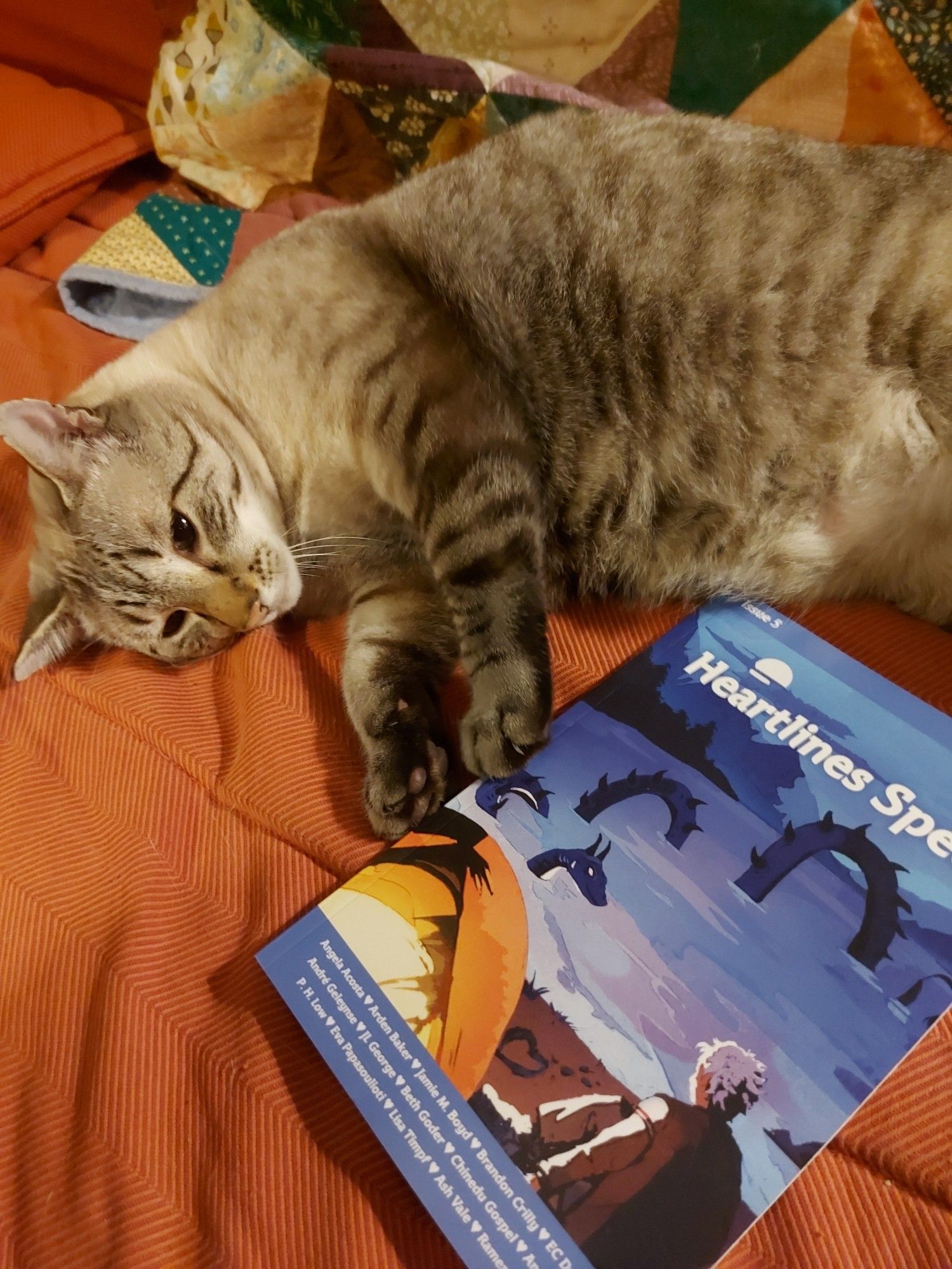 My cat Ivan: large, grey, floofy, more beauty than brains, sprawling on a futon next to the issue copy.