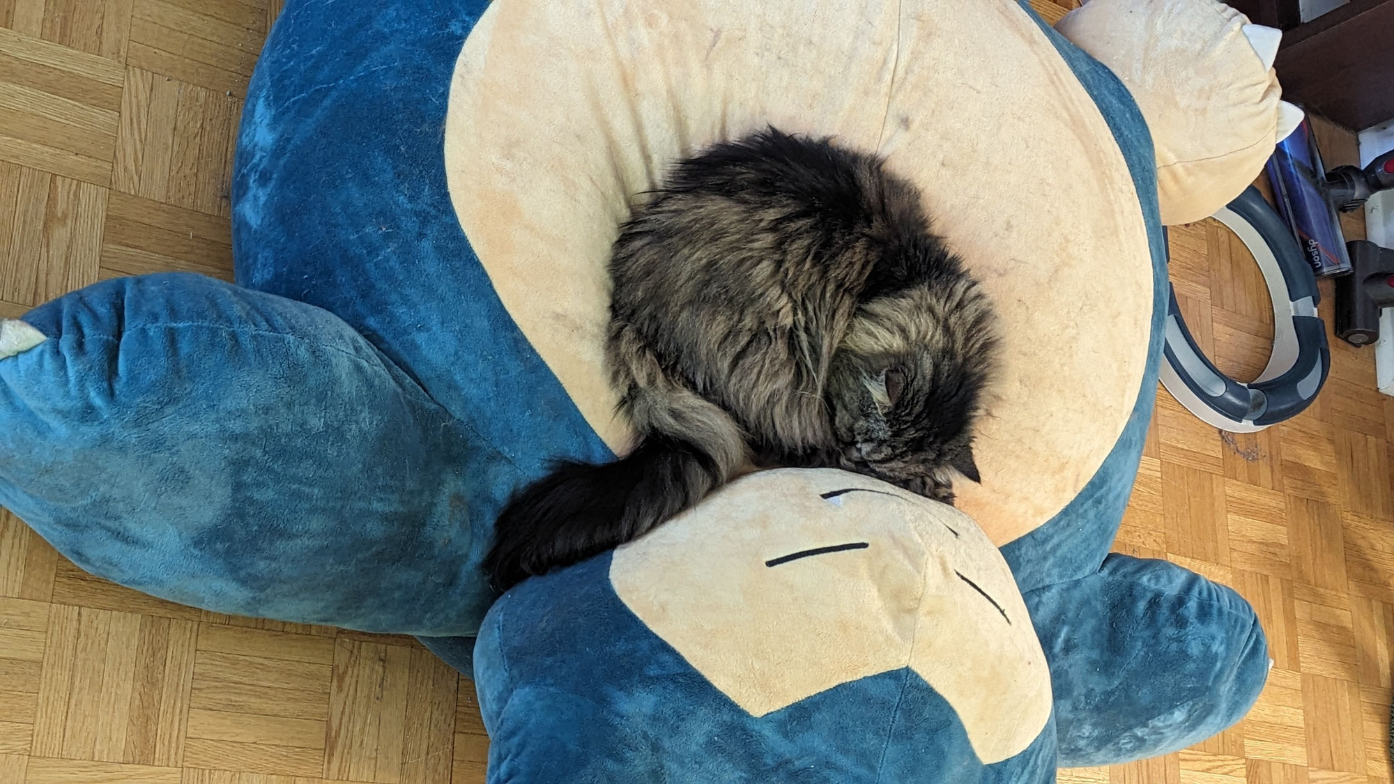 Brown tabby cat curled up on a snorlax beanbag chair