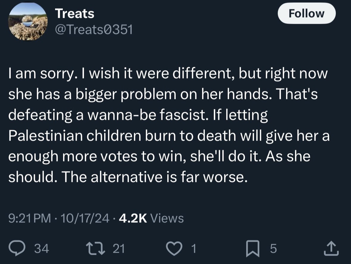 Treats
@Treats0351

I am sorry. I wish it were different, but right now she has a bigger problem on her hands. That's defeating a wanna-be fascist. If letting
Palestinian children burn to death will give her a enough more votes to win, she'll do it. As she should. The alternative is far worse.