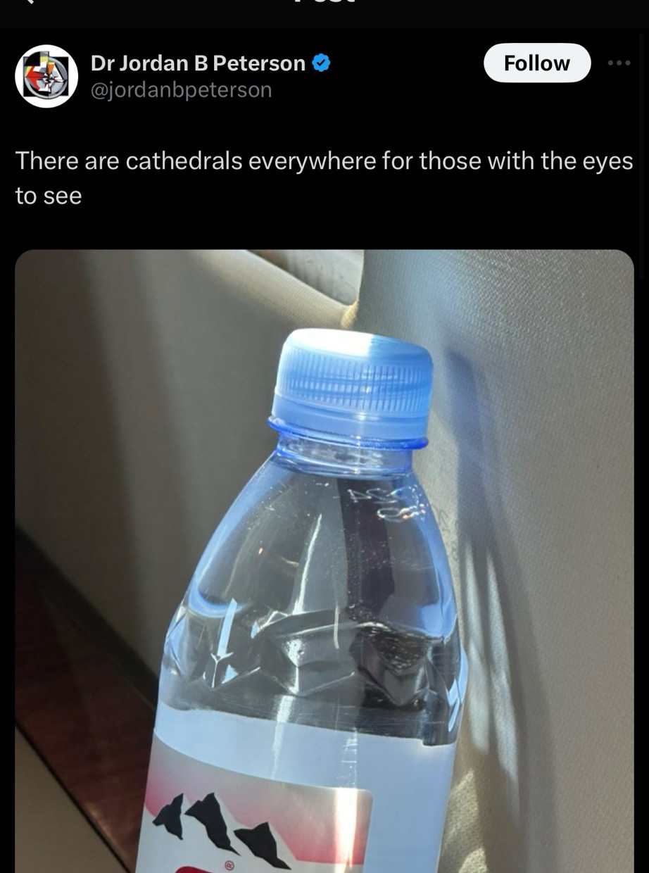 Dr Jordan B Peterson
@jordanbpeterson
Follow
There are cathedrals everywhere for those with the eyes to see
