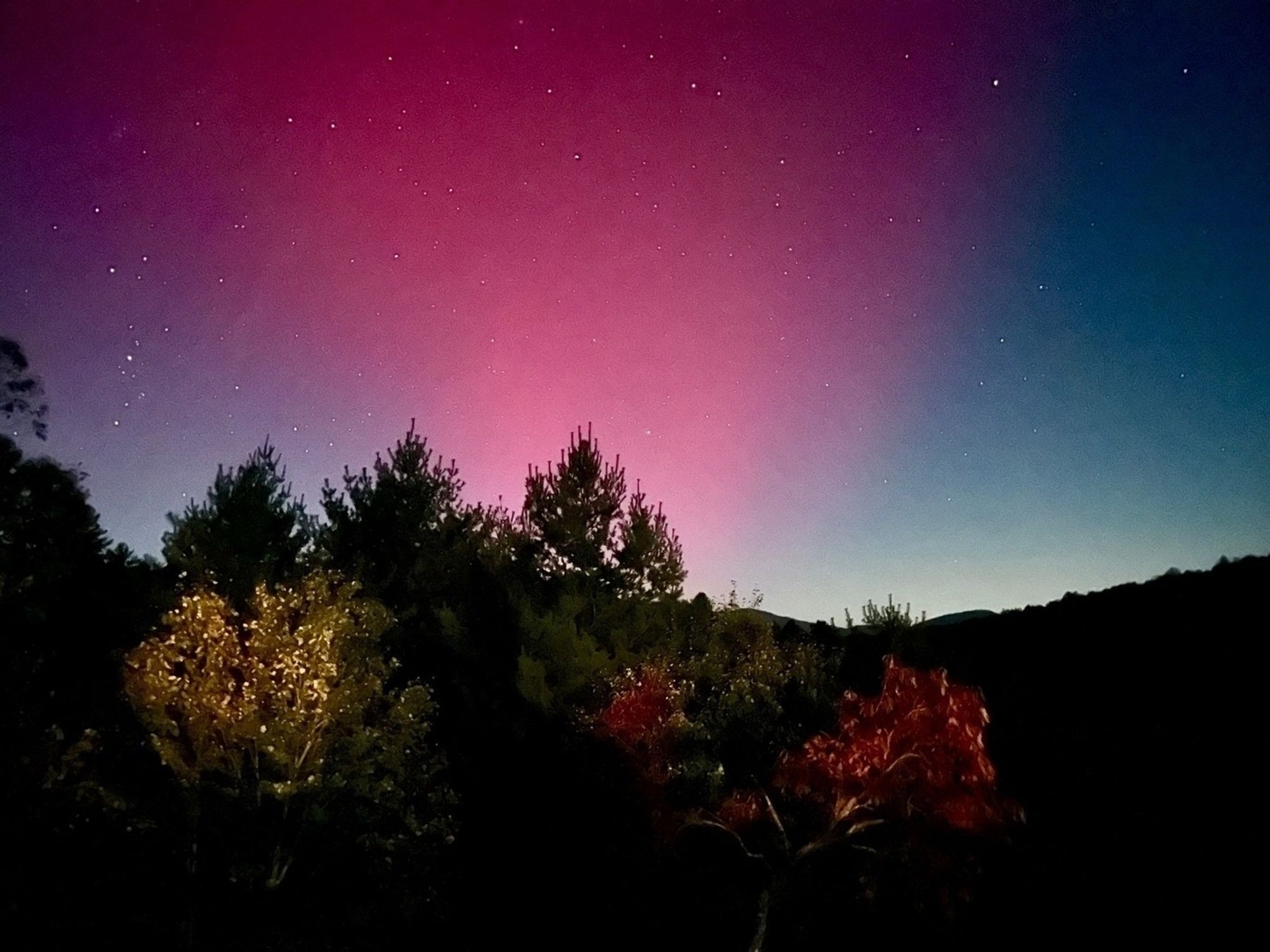 An aurora appearing over the skies of north Georgia, with a vibrant gradient of colors transitioning from deep purple to pink near the horizon. Stars are scattered across the night sky, shining brightly. Below, a line of trees and bushes are illuminated in subtle hues of yellow, green, and red, contrasting with the colorful aurora above.