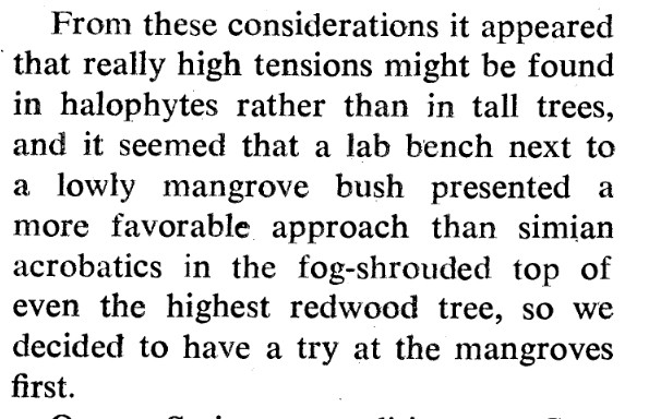 Text from Scholander on decision to measure mangroves, rather than redwoods, in order to understand plant water potentials.