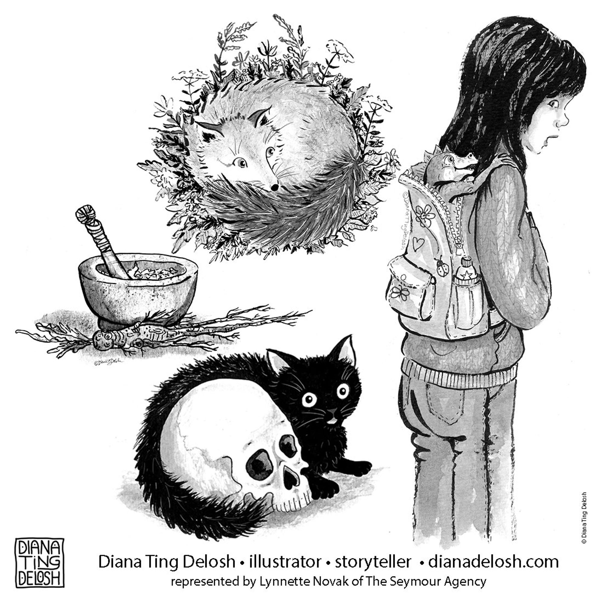 A melange of my ink and wash greyscale spot illustrations. Clock wise from top: Fox Amongst the Weeds, Tween Girl with a Dragon in her Backpack, Black Kitten with a Skull, Mortar and Pestle with Mandrake Root. 
Bottom: My Name in Stamp/Chop Form: DIANATINGDELOSH
Diana Ting Delosh • illustrator • storyteller • diana delosh.com represented by Lynnette Novak of The Seymour Agency © Diana Ting Delosh