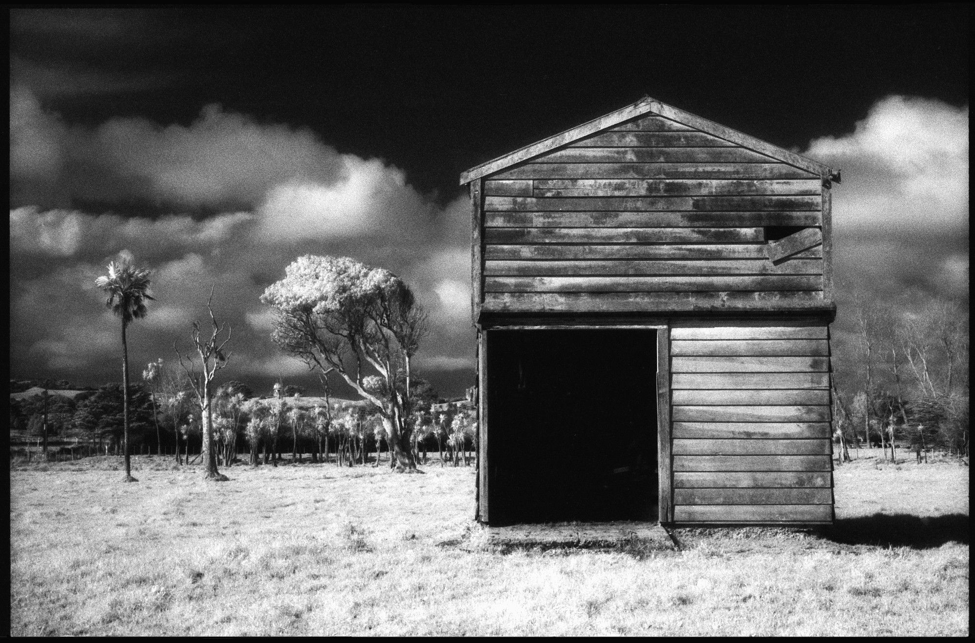 Infrared black and white Film photo. Old slaughterhouse. Kaukapakapa. Aotearoa New Zealand.