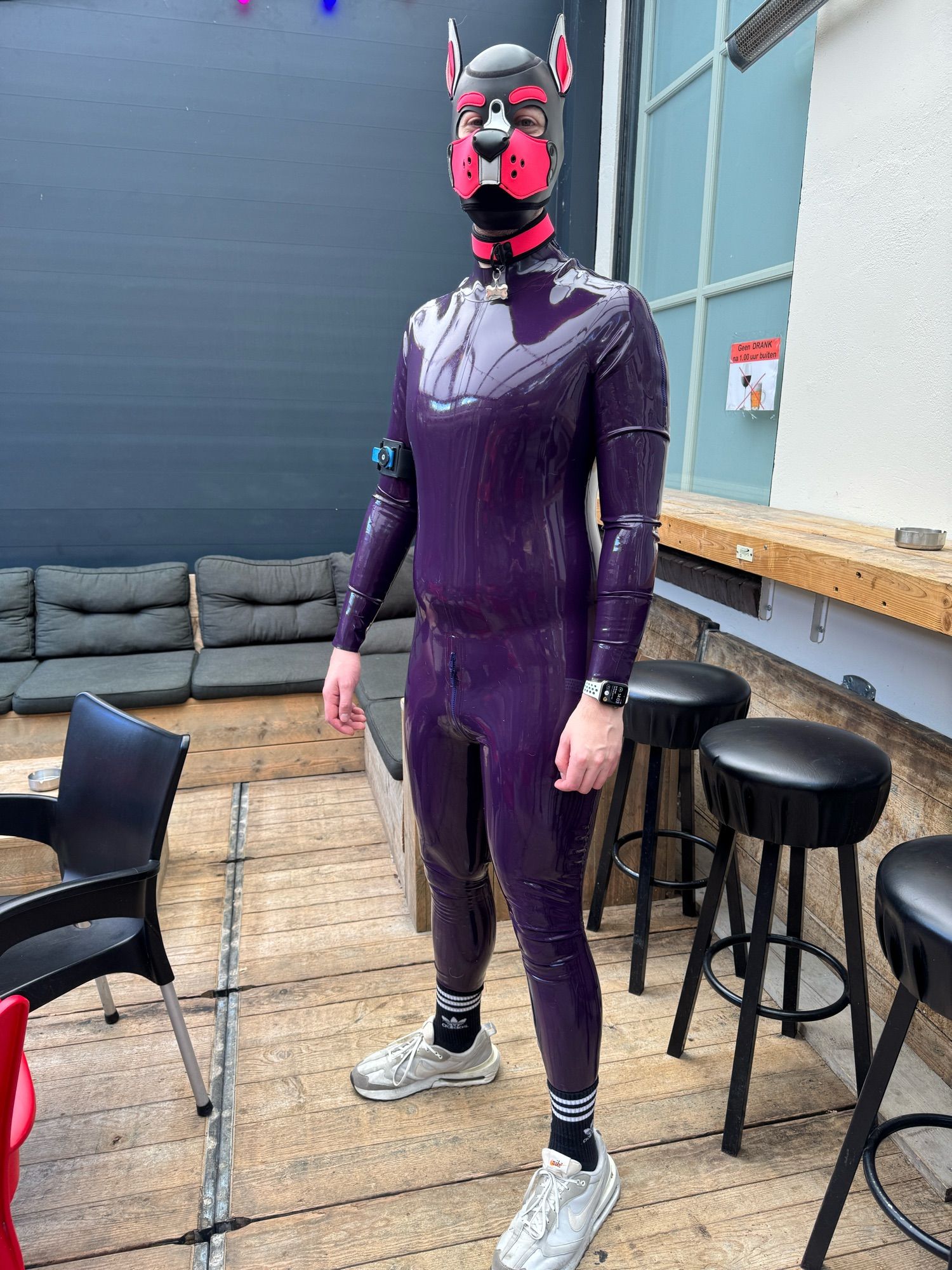 A human puppy standing tall looking at the camera. He’s wearing a shiny dark purple full body latex suit and a black pup hood with pink and white accents.