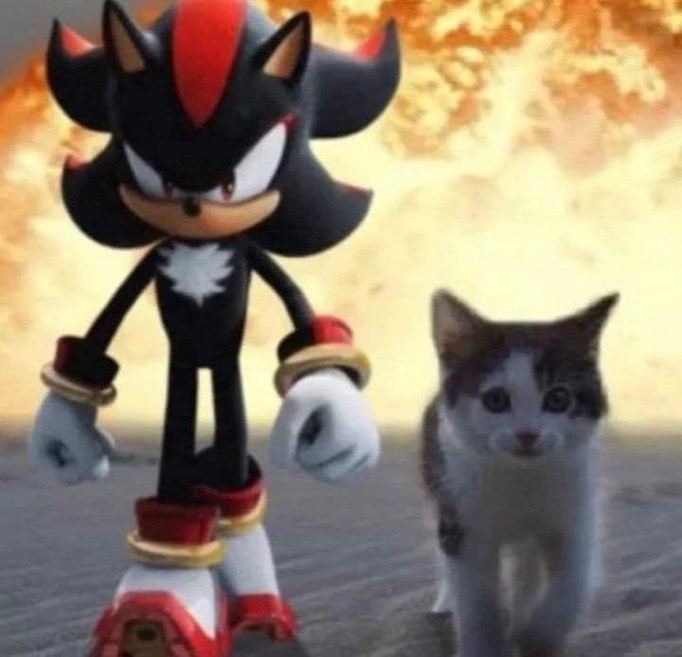 shadow the hedgehog and a tabby white kitten walking away from an explosion