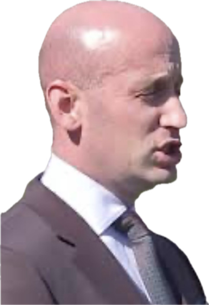 Penis head