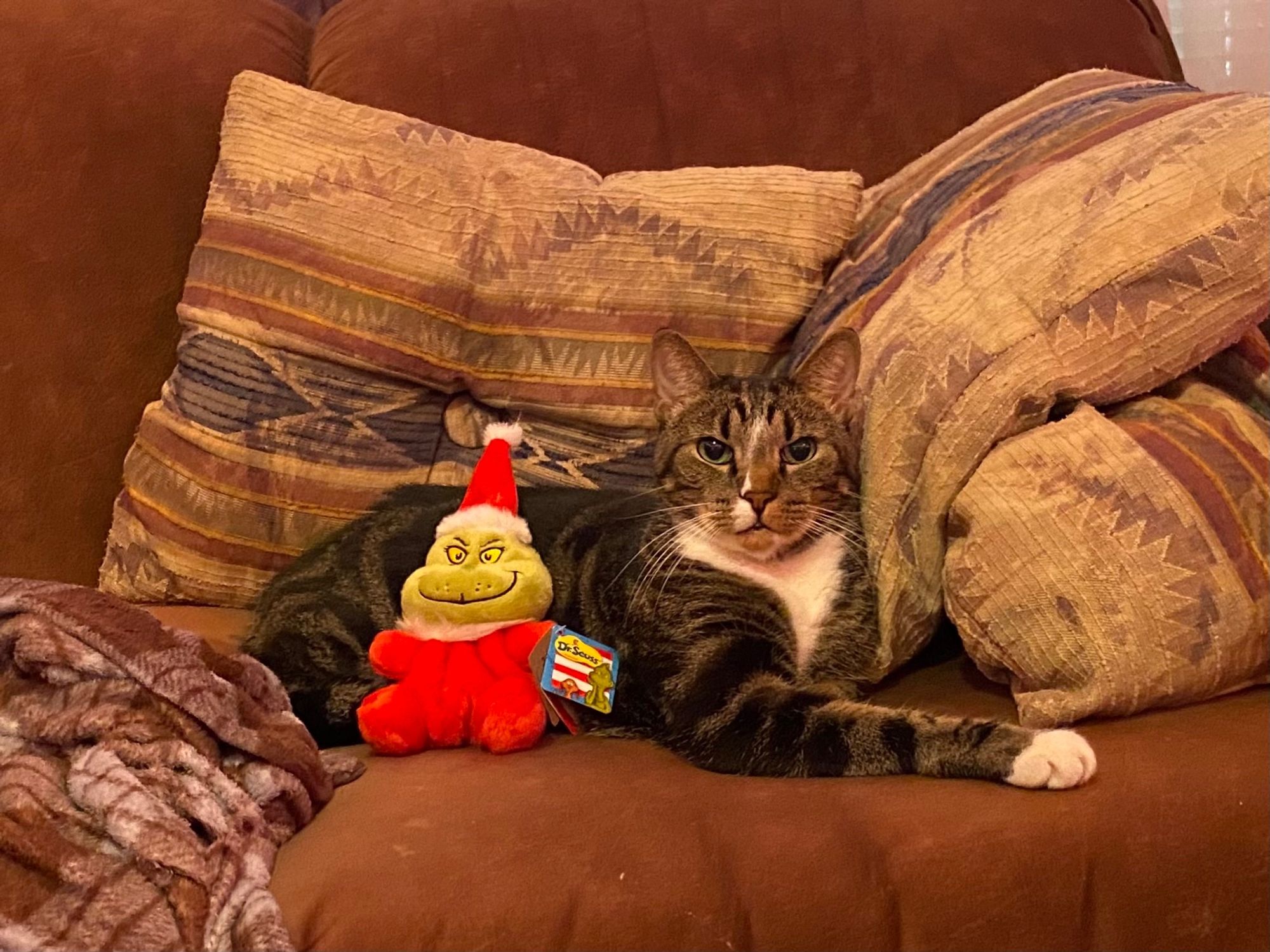 Deco the Cat with his new friend - a grinch stuffed toy.