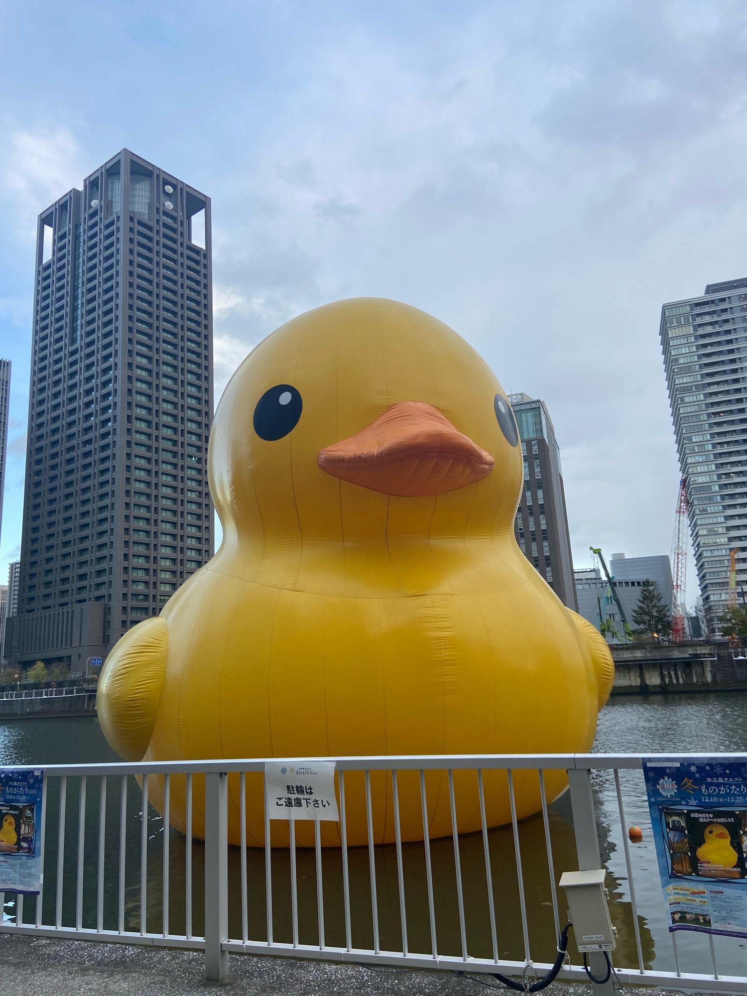 [写真]フェンス越しに見た川に浮かぶ巨大なラバーダック