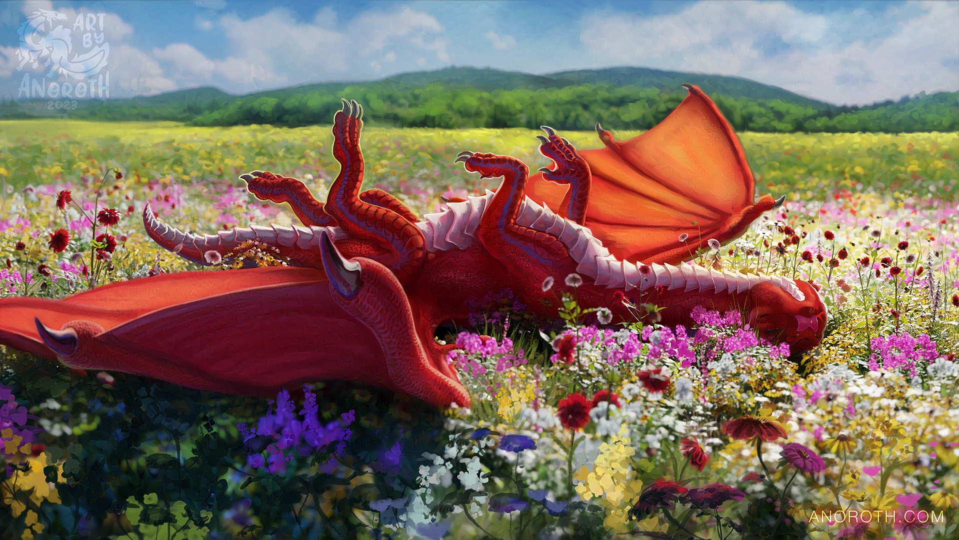 Red dragon with white belly scutes is laying on it's back on a flower meadow on summer midday. It's very happy and relaxed, with it's tongue out blepping.