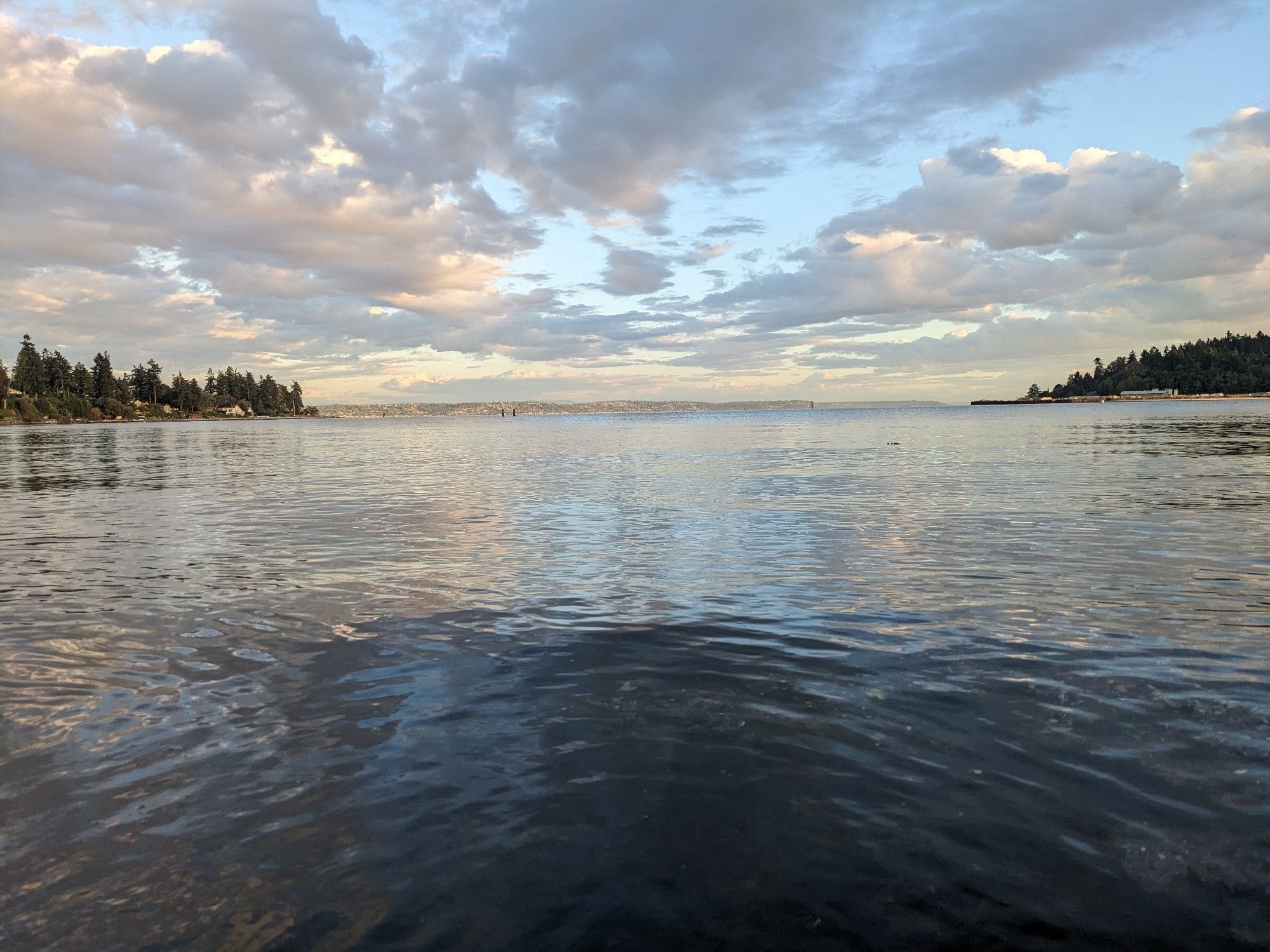 A photograph of a body of water reflecting blue, gray and pink-ish colors of the sky and clouds above.  On the left and right are the ends of small strips of land covered in pines.