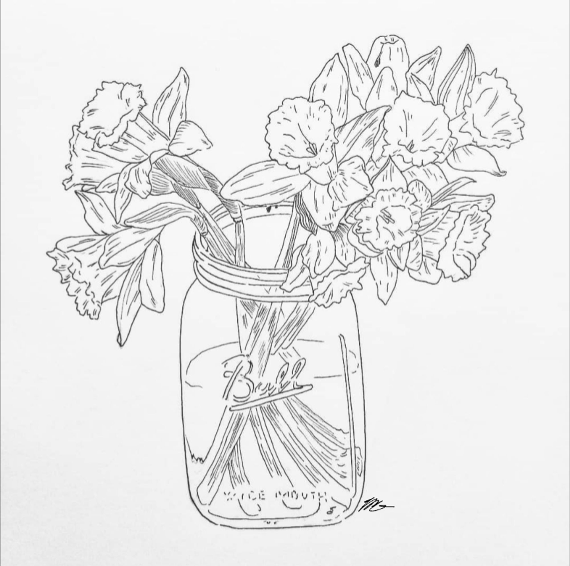 Pen and ink lineart of a bundle of daffodils in a jar of water.