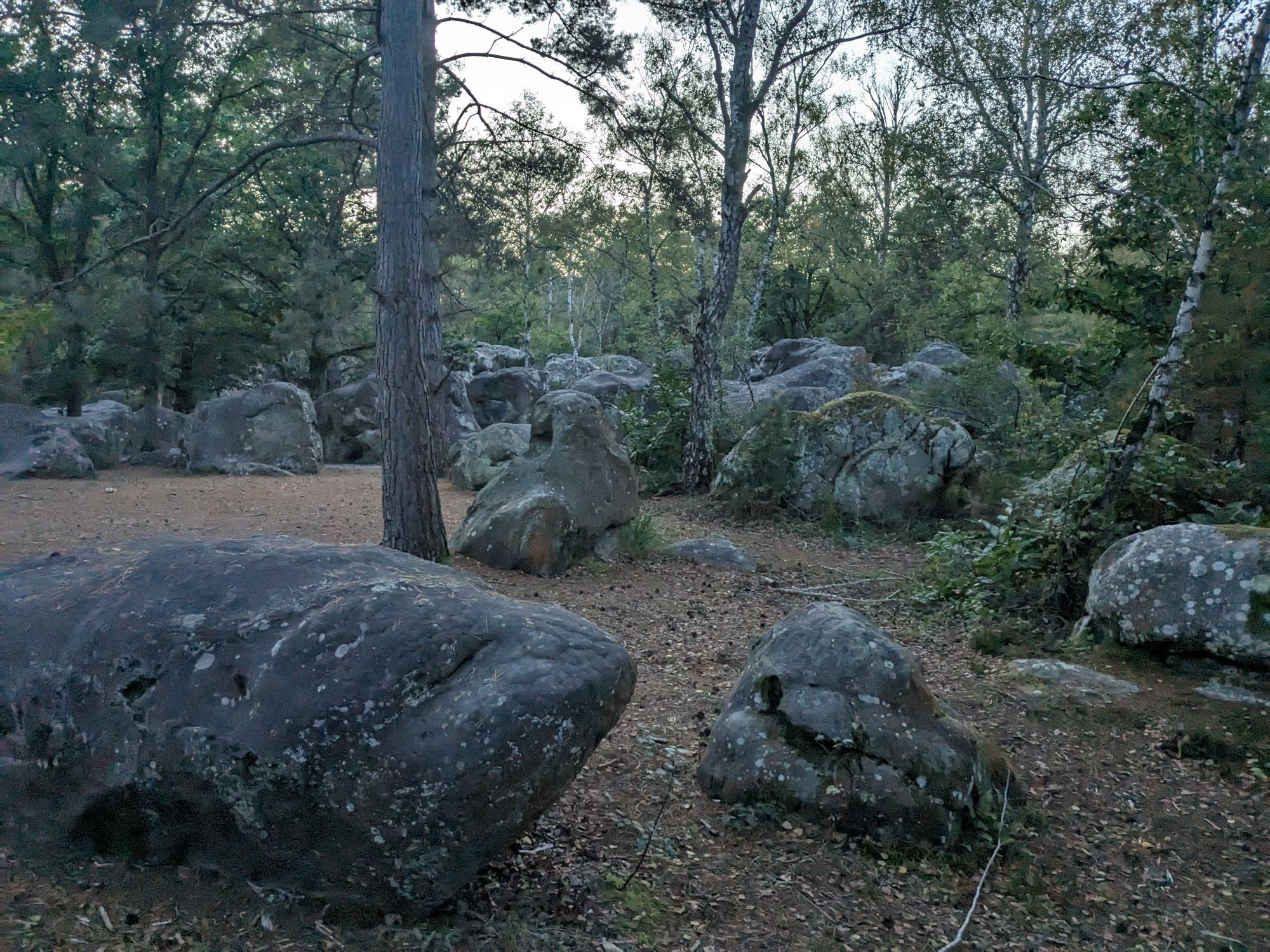 A picture of boulders in the famous bouldering area in France, Fontainebleau