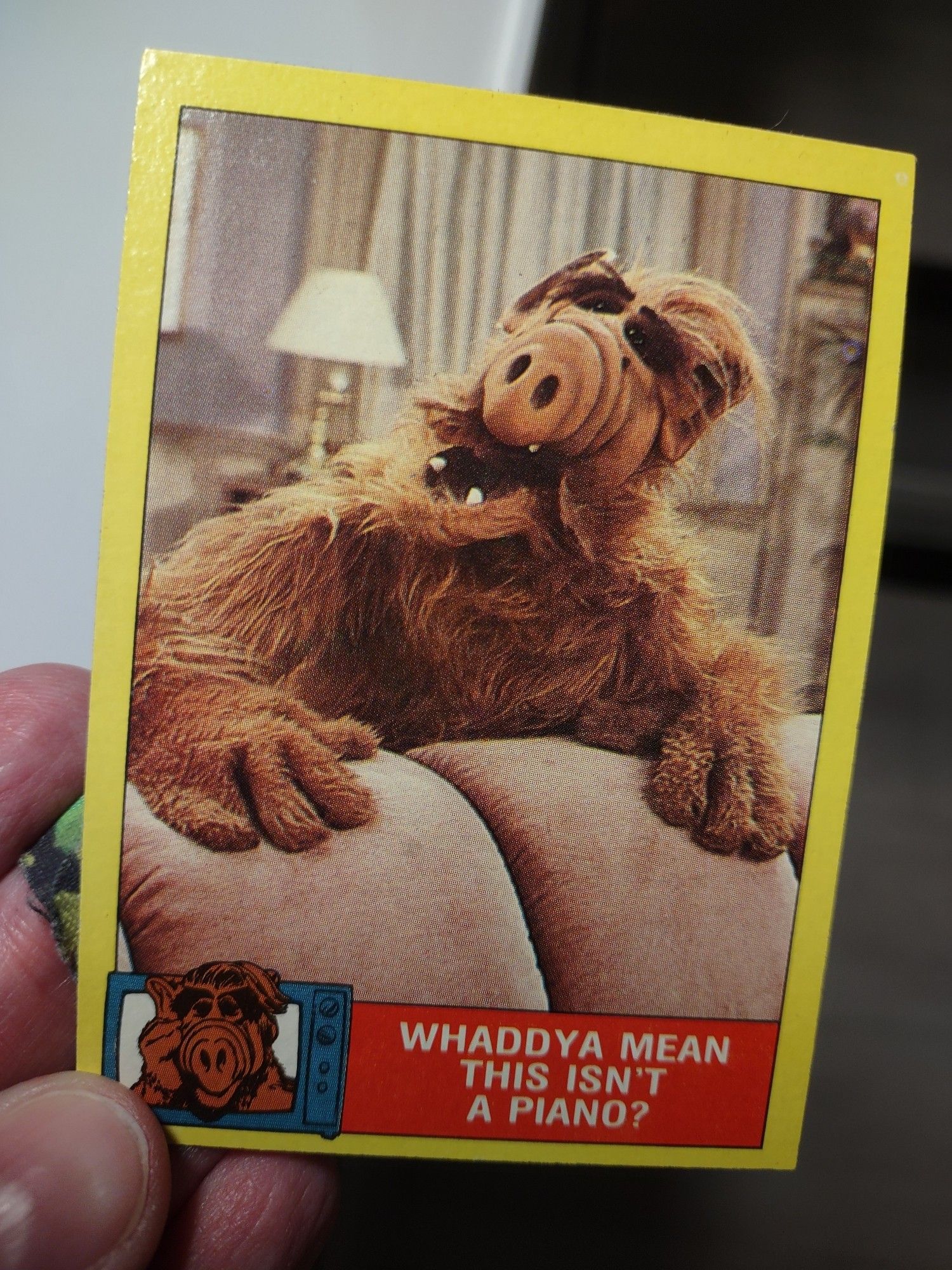 A Topps trading card from the 80's featuring everyone's favorite alien Alf, he seems to be perched over a gigantic ass about to chow down