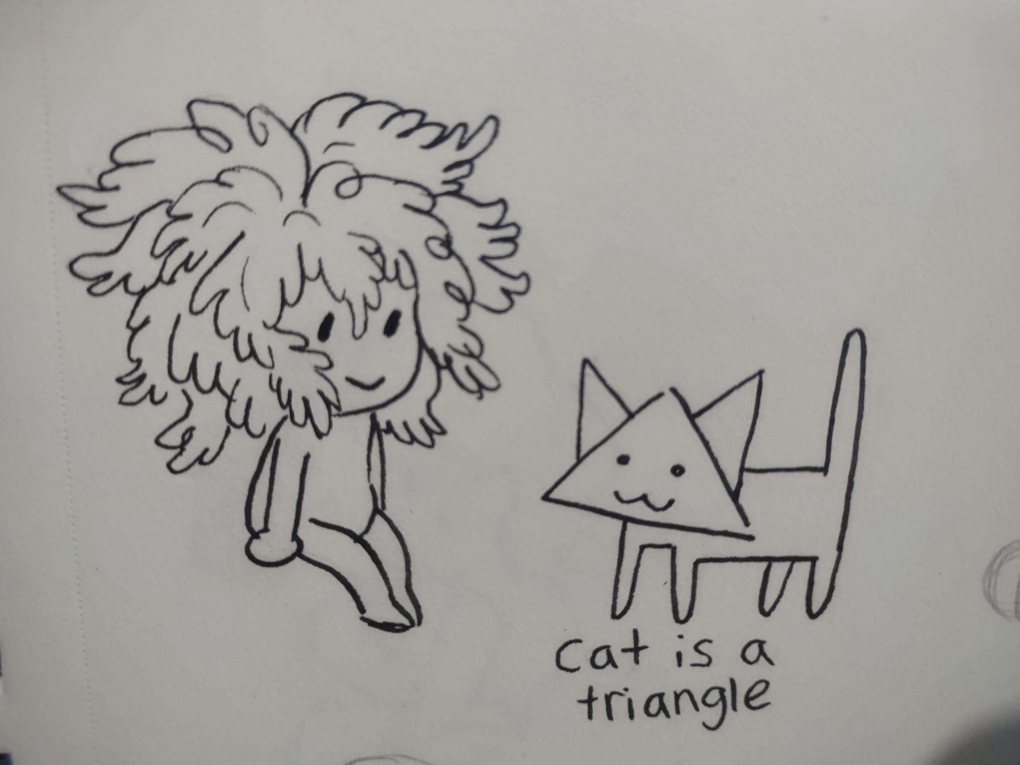 A pen sketch of a little fern person, their hair is big and looks like the leaves of a fern. The other sketch is of a kitty with a triangle head. Underneath the text reads "cat is a triangle".