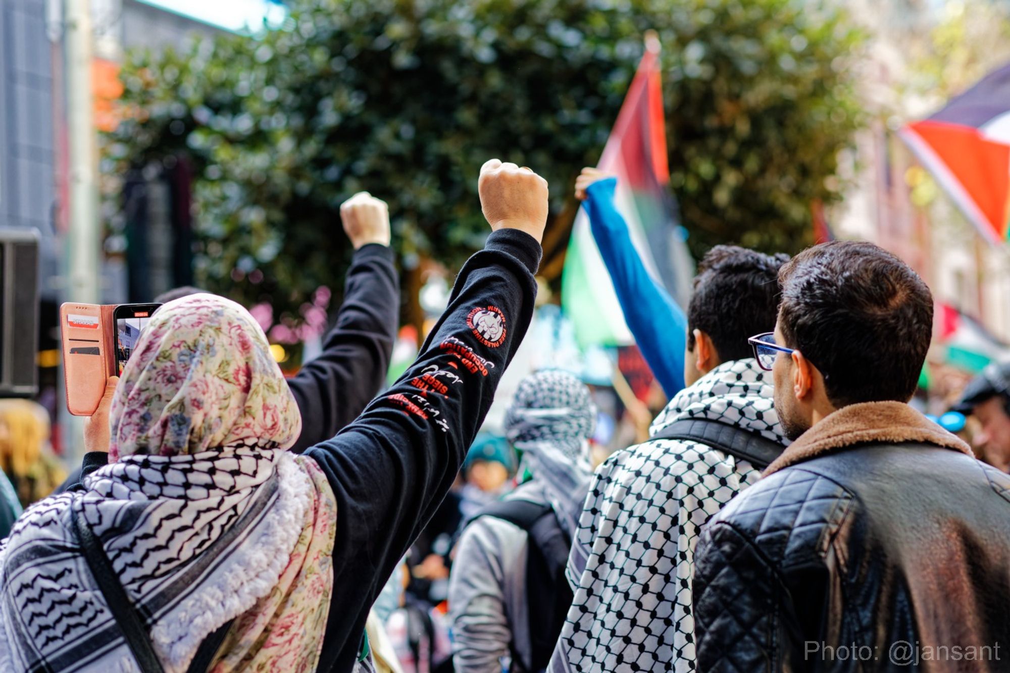 Fists in the air at a free Palestine rally