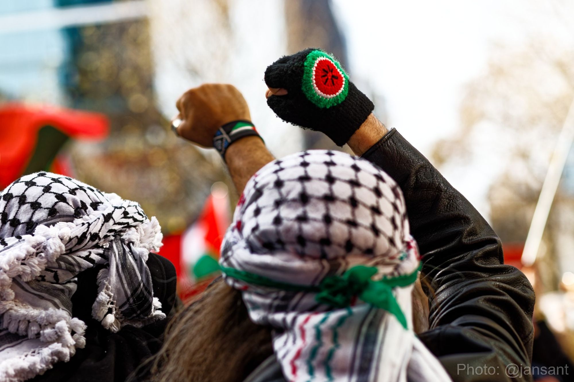 Fists in the air at a free Palestine rally