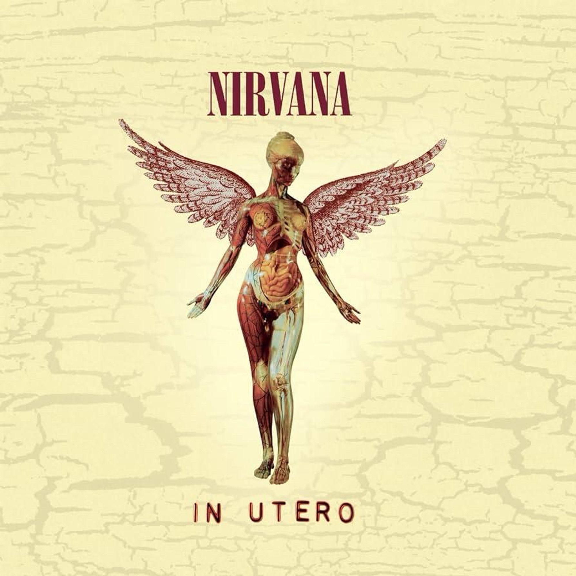 Cover des Albums "In Utero" von Nirvana