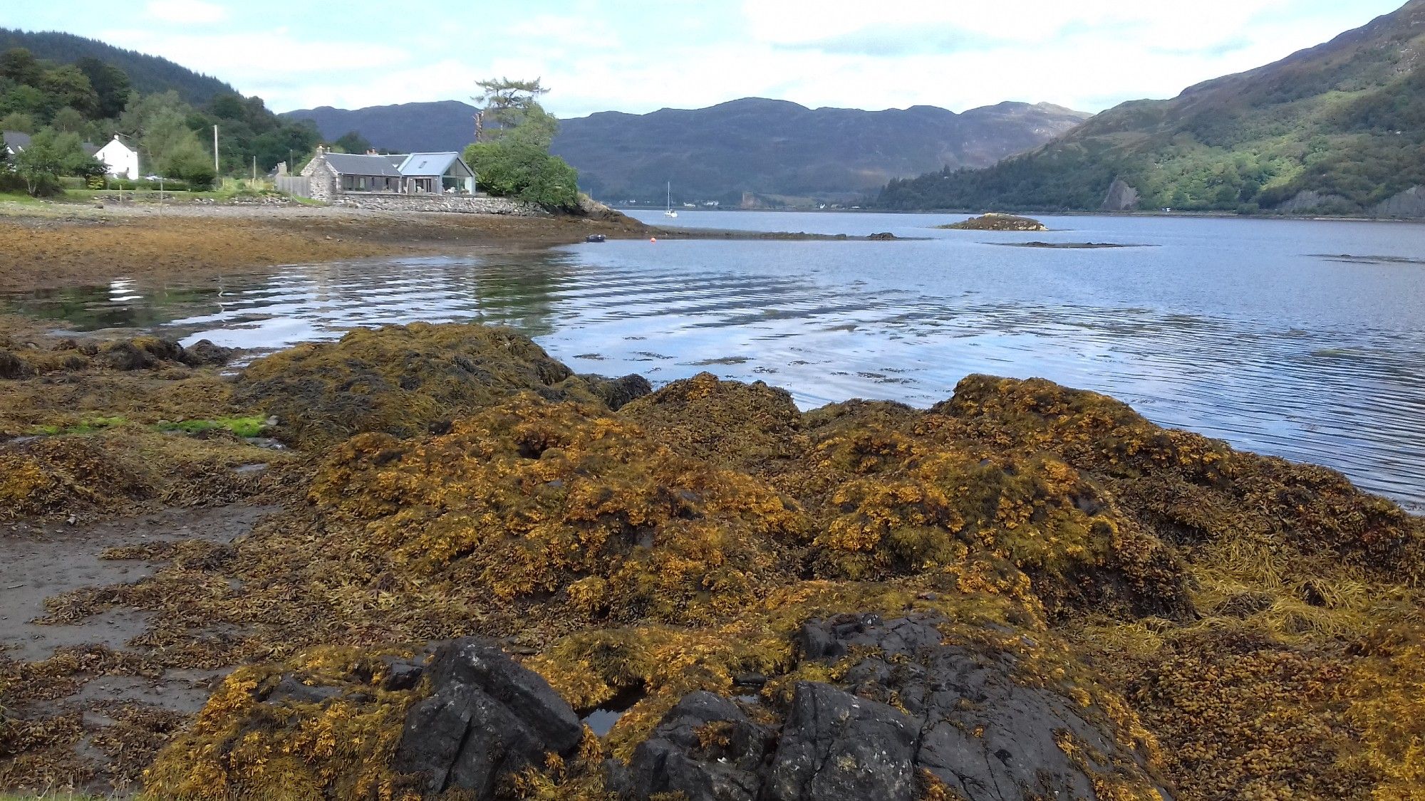 some seeweed, a loch, mountains, houses, eilean donan castle in the back ground. just standing there, like a prick.