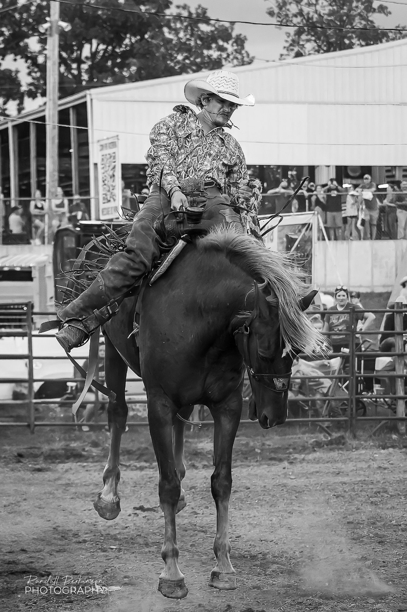 Cowboy rides on a bucking bronco that has jumped with all 4 feet off the ground.