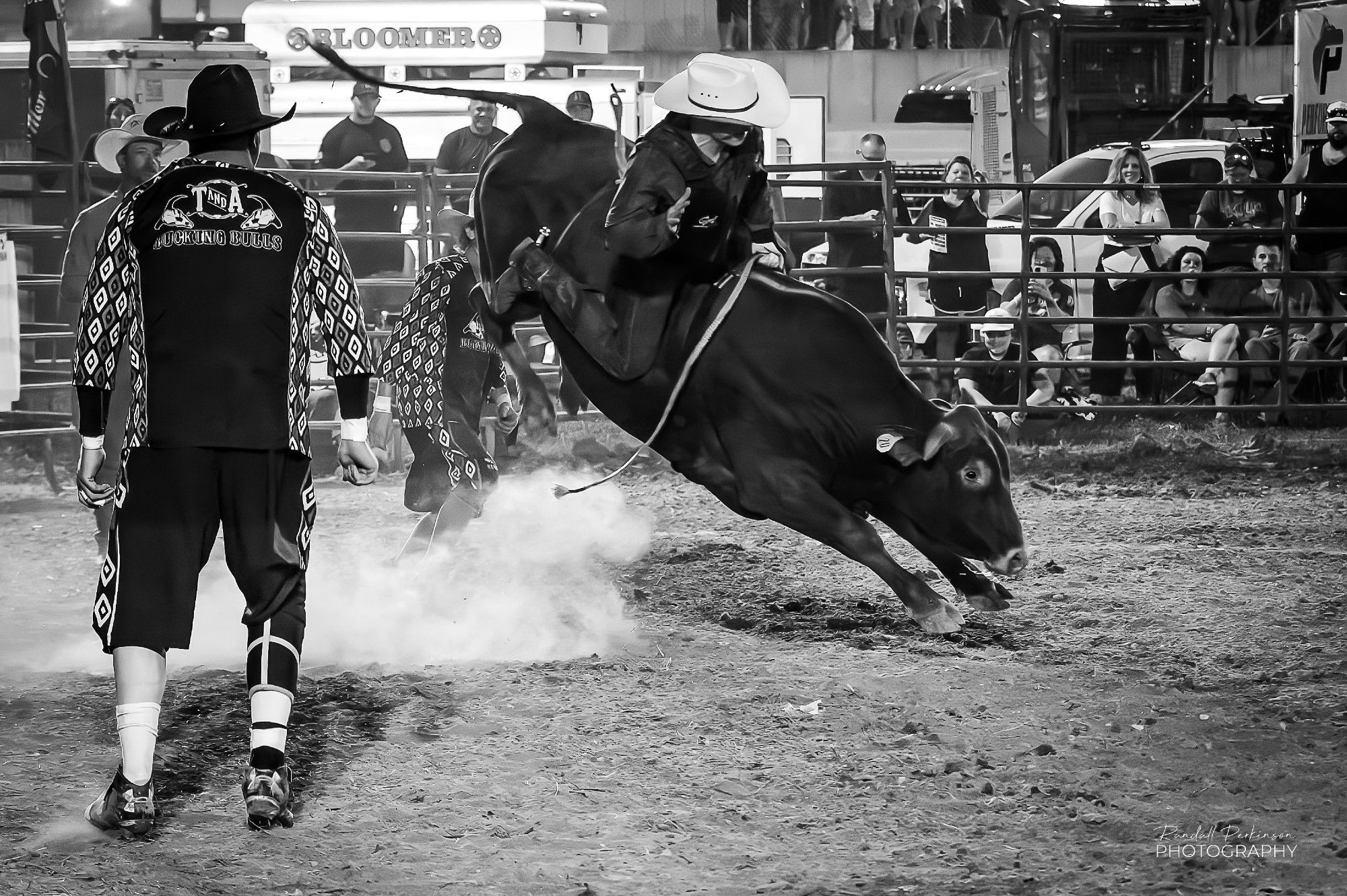 A bull has his hind end thrown in the air in an effort to buck off the cowboy on his back as rodeo clowns stand on either side.