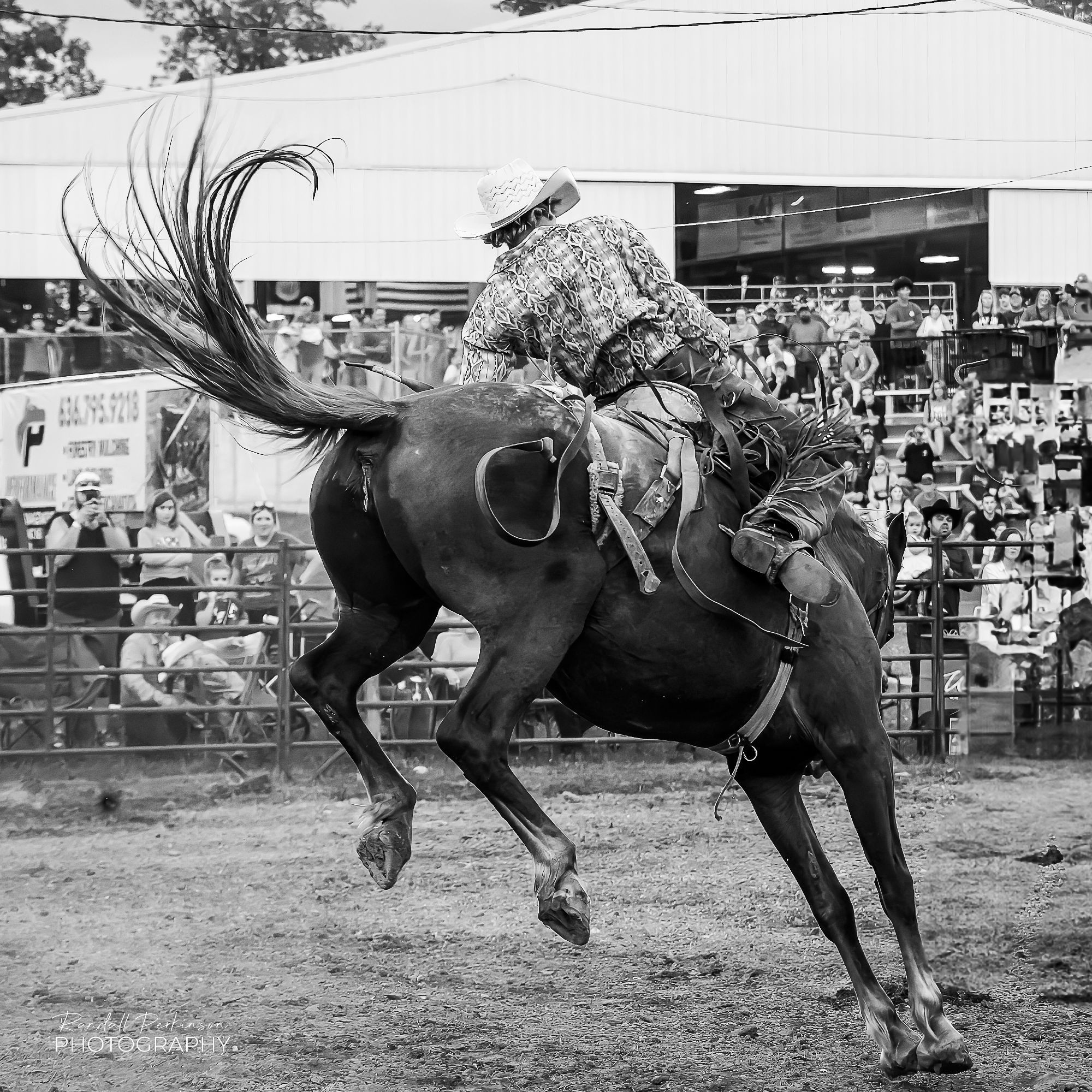 A cowboy rides a bucking bronco that has it's hind legs high in the air with its tail flying around.