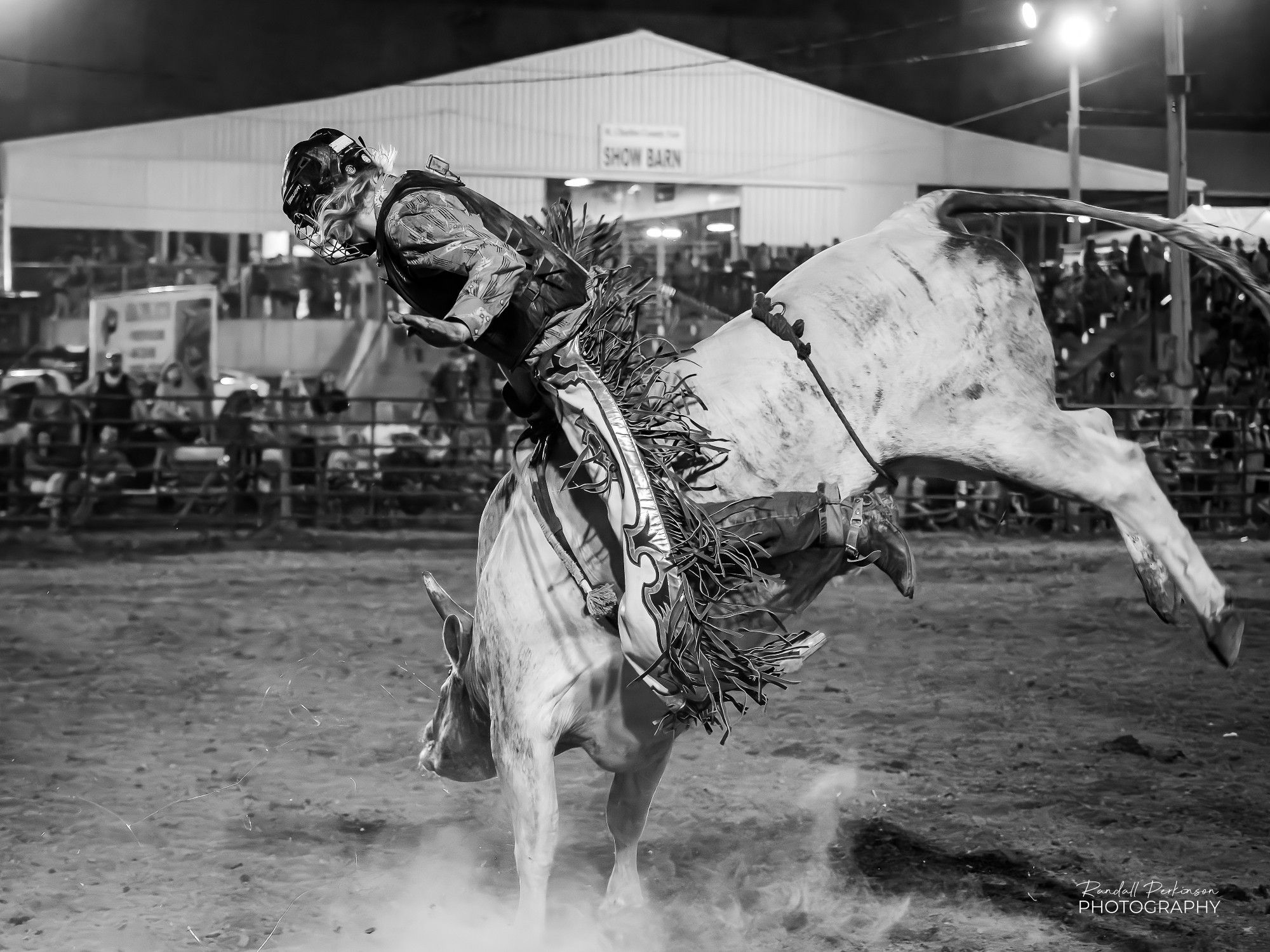 A cowboy leans forward as he tries to stay on a bull attempting to buck him off.