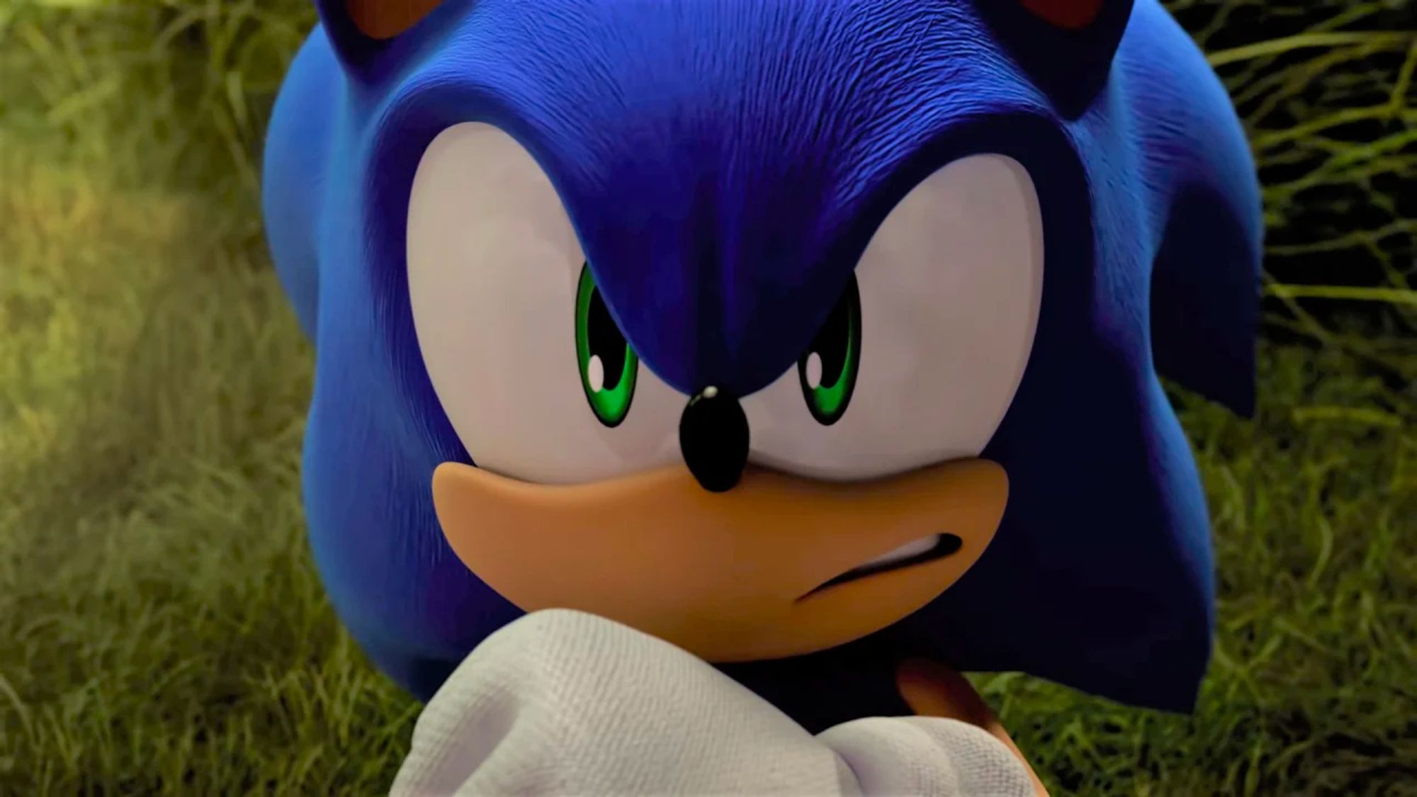 Me, Sonic the Hedgehog looking mad af