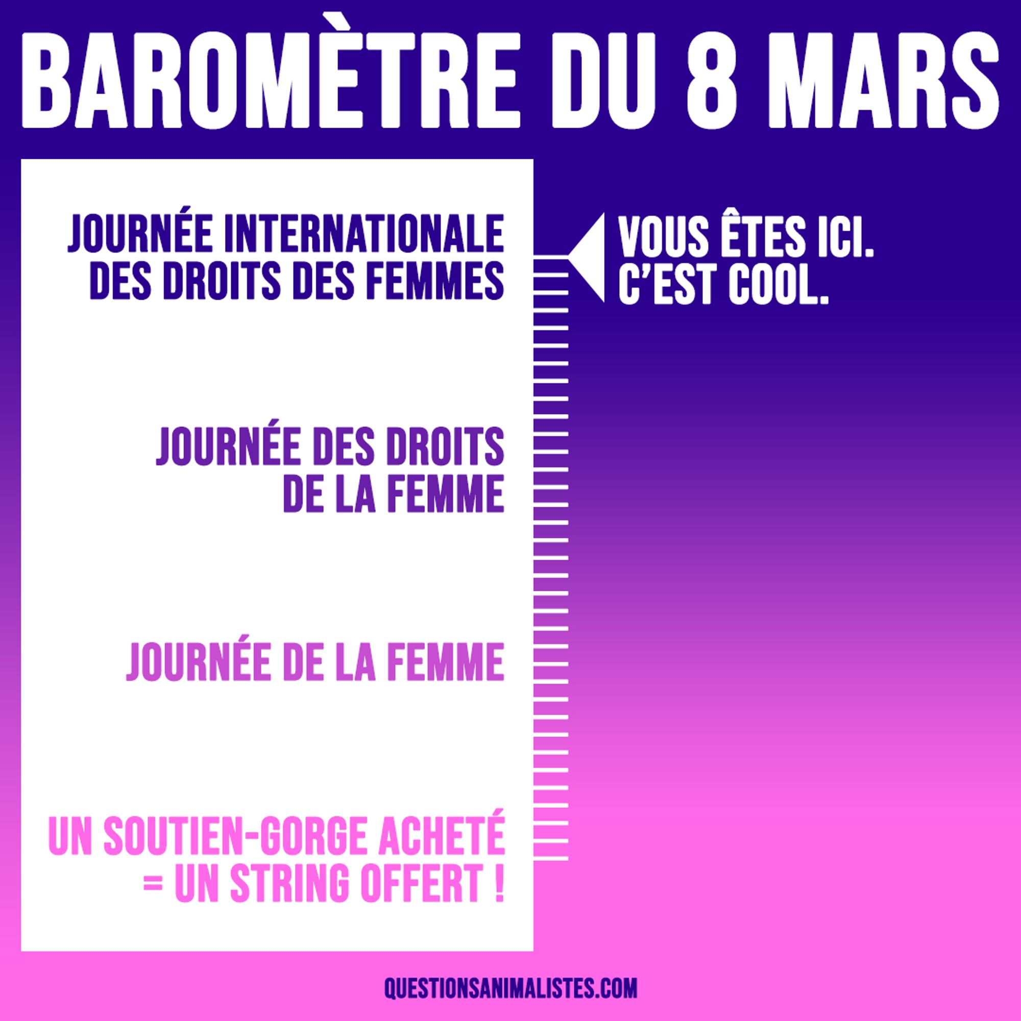 Visuel intitulé "Baromètre du 8 mars" qui montre une graduation qui va de l'intitulé "Journée internationale des droits des femmes" (tout en haut), à "Journée des droits de la femme", puis à "Journée de la femme", et enfin à "Un soutien-gorge acheté = un string offert", tout en bas. 

Une flèche montre le premier intitulé avec la mention : "Vous êtes ici. C'est cool."