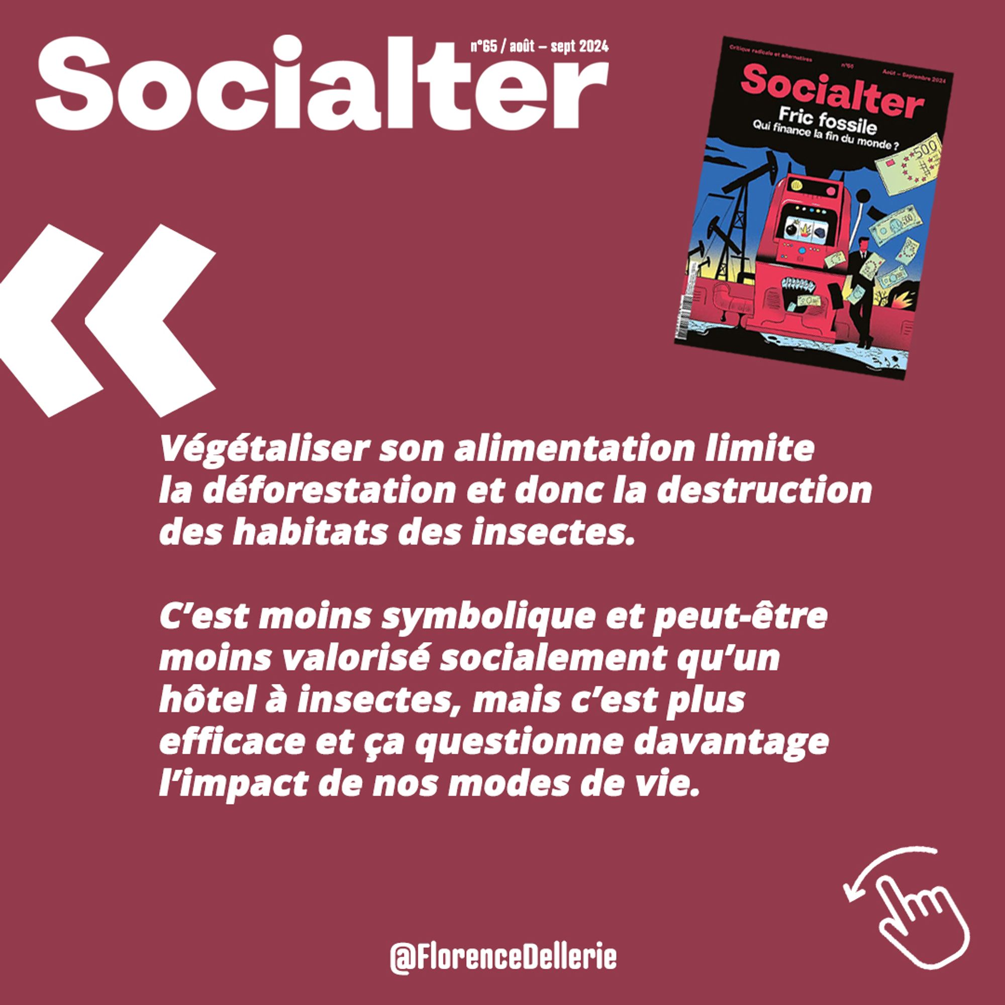 Visuel carré montrant une citation extraite de l'article : "Végétaliser son alimentation limite la déforestation et donc la destruction des habitats des insectes.

C’est moins symbolique et peut-être moins valorisé socialement qu’un hôtel à insectes, mais c’est plus efficace et ça questionne davantage l’impact de nos modes de vie."