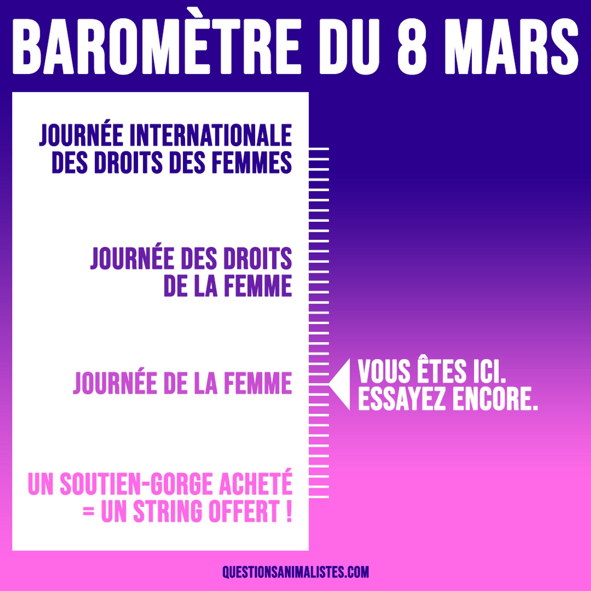 Visuel intitulé "Baromètre du 8 mars" qui montre une graduation qui va de l'intitulé "Journée internationale des droits des femmes" (tout en haut), à "Journée des droits de la femme", puis à "Journée de la femme", et enfin à "Un soutien-gorge acheté = un string offert", tout en bas. 

Une flèche montre le 3e intitulé avec la mention : "Vous êtes ici. Essayez encore."