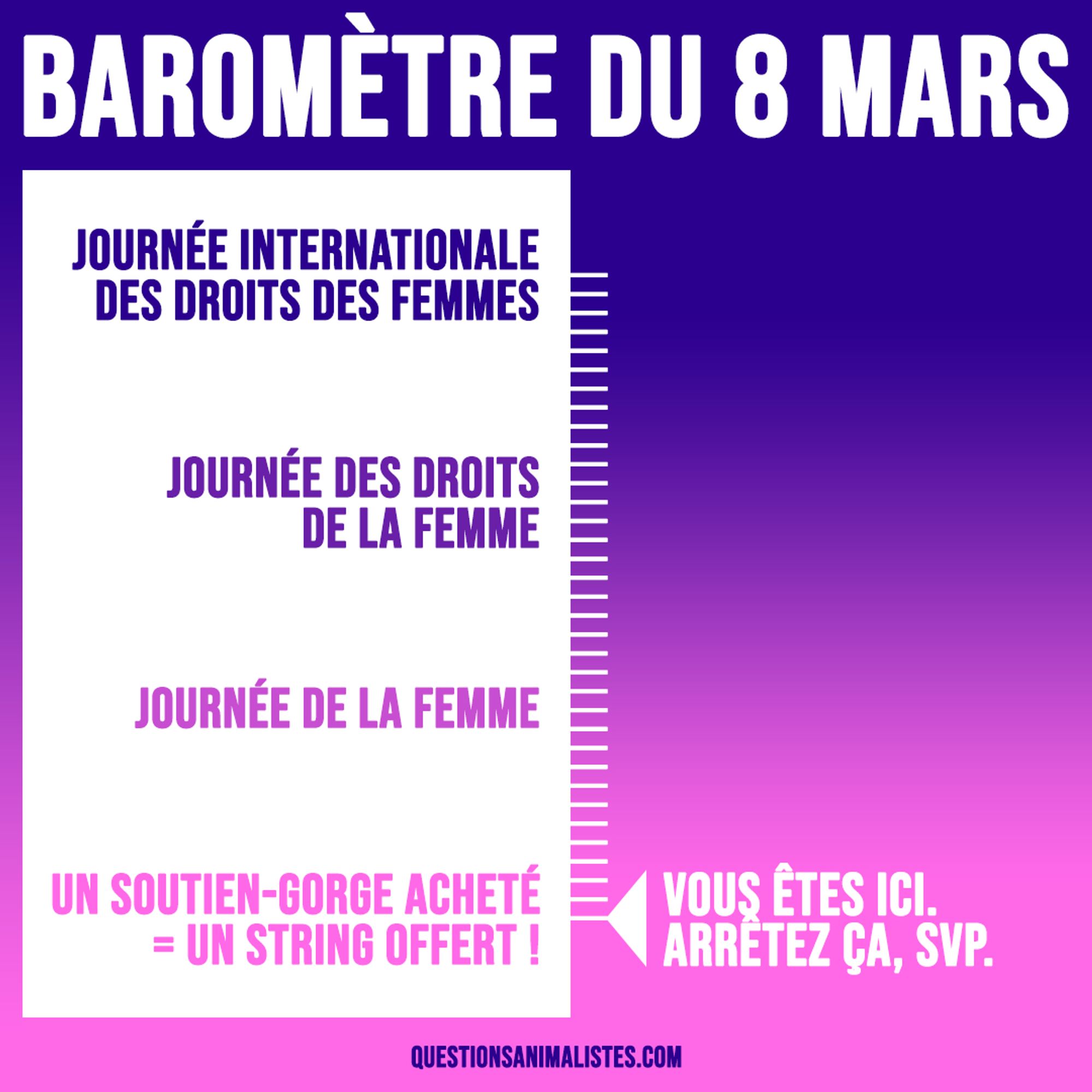 Visuel intitulé "Baromètre du 8 mars" qui montre une graduation qui va de l'intitulé "Journée internationale des droits des femmes" (tout en haut), à "Journée des droits de la femme", puis à "Journée de la femme", et enfin à "Un soutien-gorge acheté = un string offert", tout en bas. 

Une flèche montre le dernier intitulé avec la mention : "Vous êtes ici. Arrêtez ça, svp."